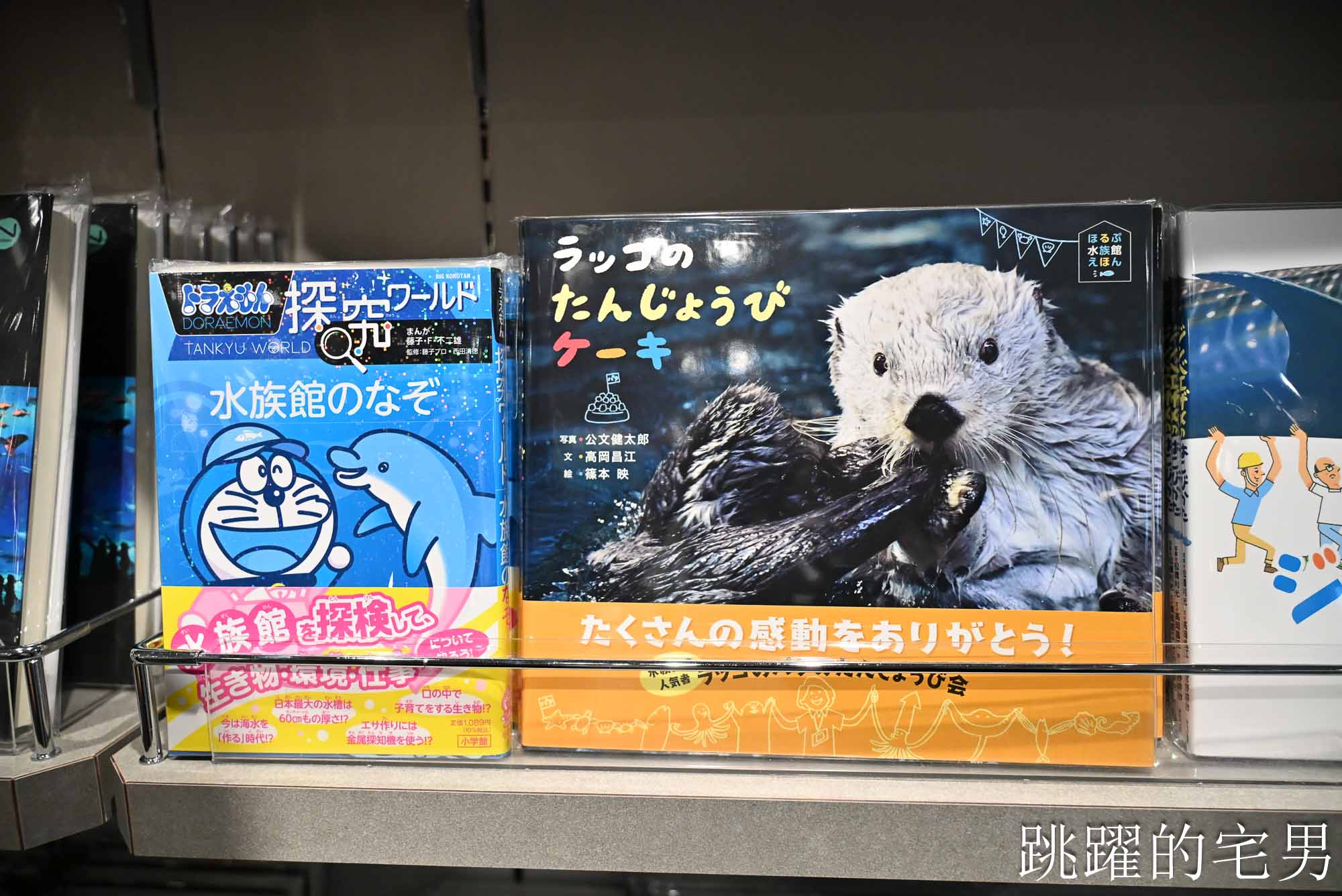 [大阪景點推薦]大阪海遊館-巨大鯨鯊近距離超震撼！企鵝海豚+樂高樂園+購物中心，超強大阪雨天備案、大阪親子景點、日本級水族館推薦