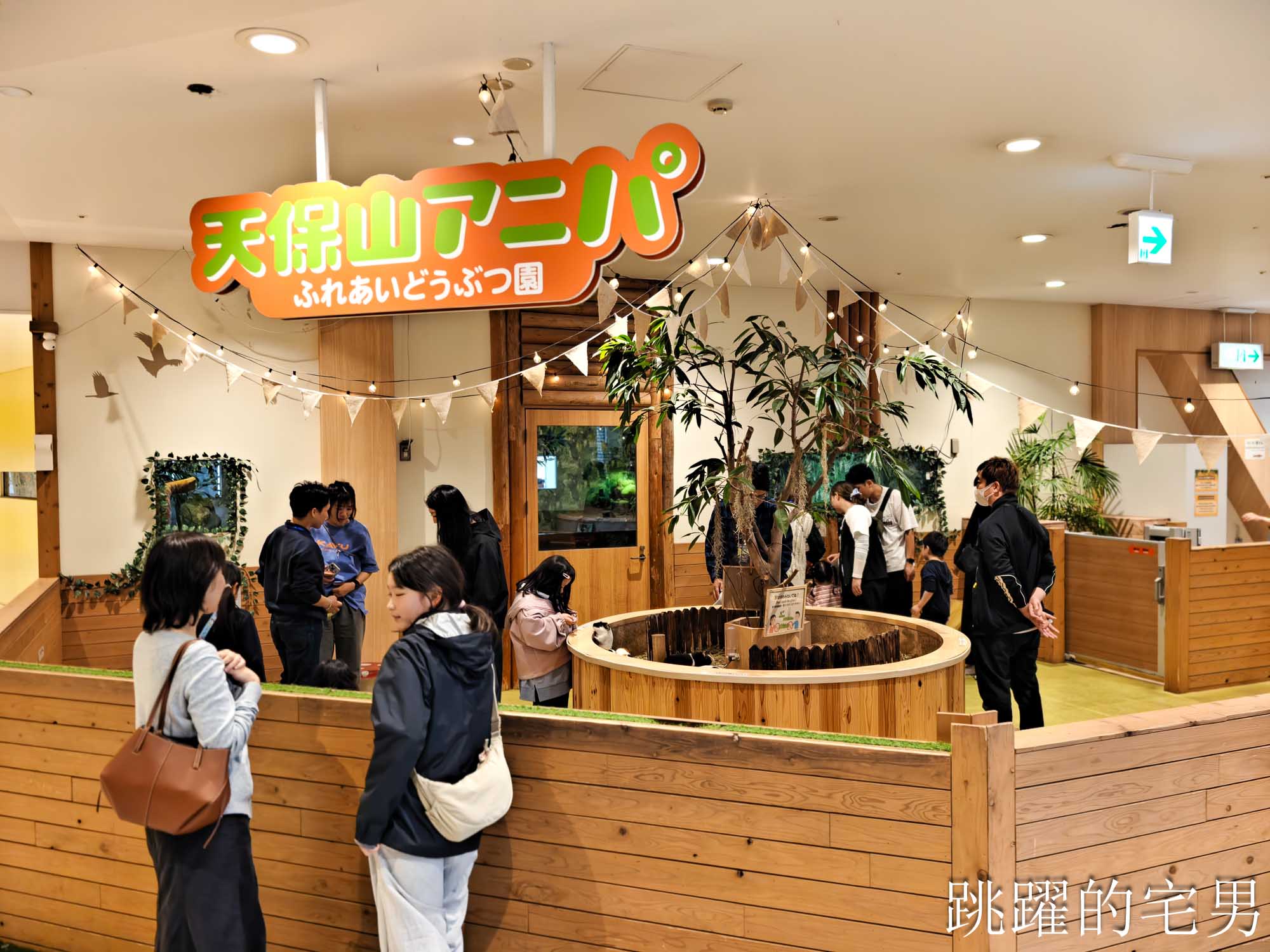 [大阪景點推薦]大阪海遊館-巨大鯨鯊近距離超震撼！企鵝海豚+樂高樂園+購物中心，超強大阪雨天備案、大阪親子景點、日本級水族館推薦