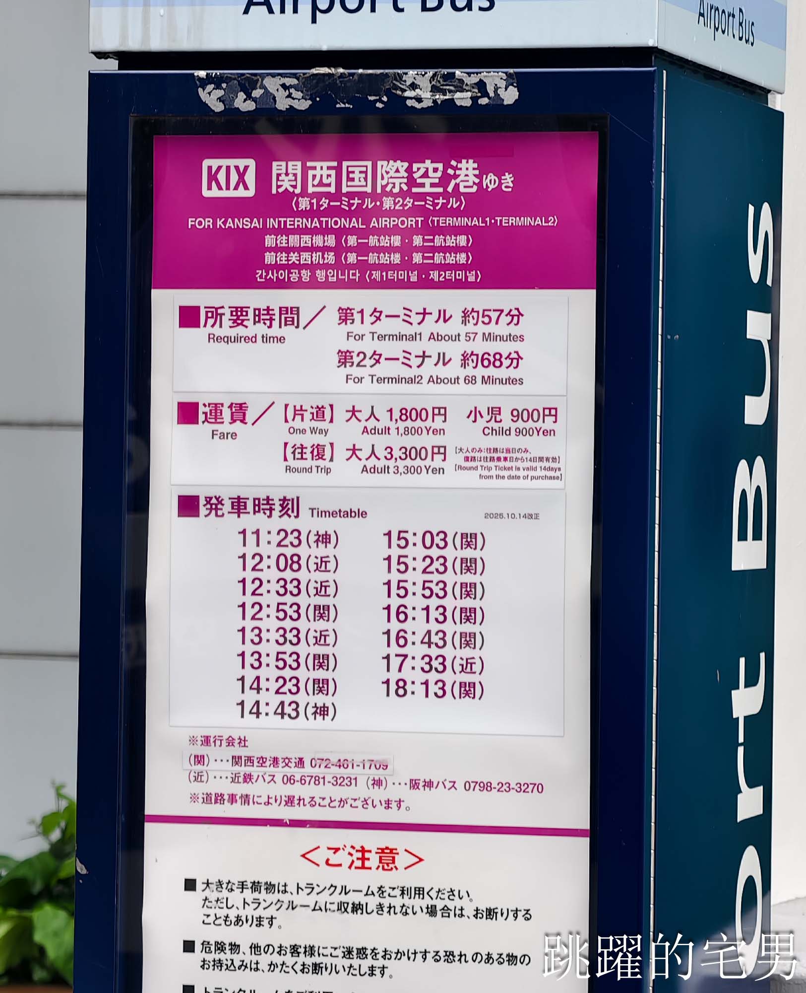 [大阪景點推薦]大阪海遊館-巨大鯨鯊近距離超震撼！企鵝海豚+樂高樂園+購物中心，超強大阪雨天備案、大阪親子景點、日本級水族館推薦
