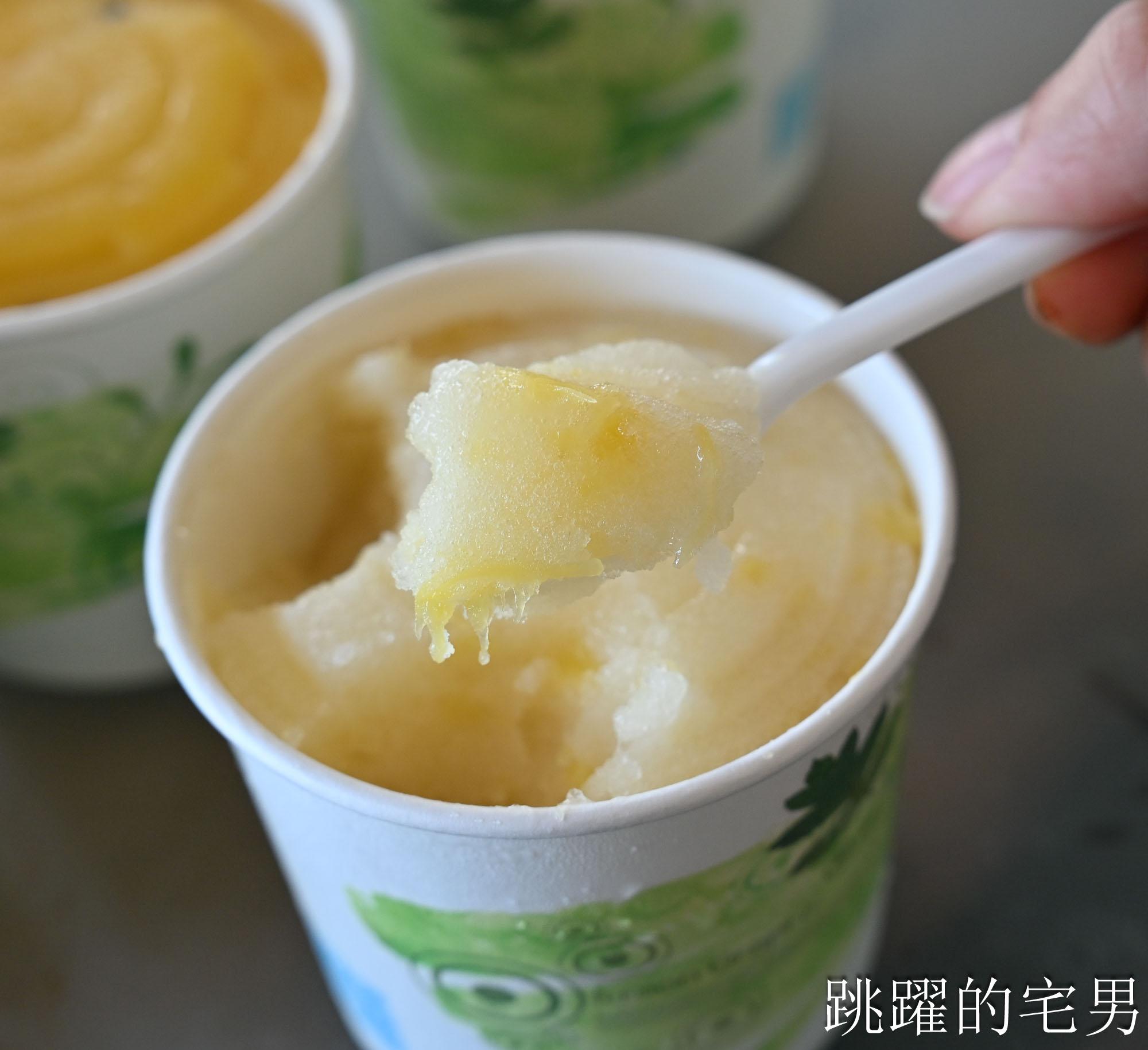 [宜蘭冰店]新南商店-堤防邊賣了兩代人沒招牌古早味綿綿冰真材實料，現吃6種口味只有好吃跟爆幹好吃! 木瓜牛奶冰完全打到我的味蕾