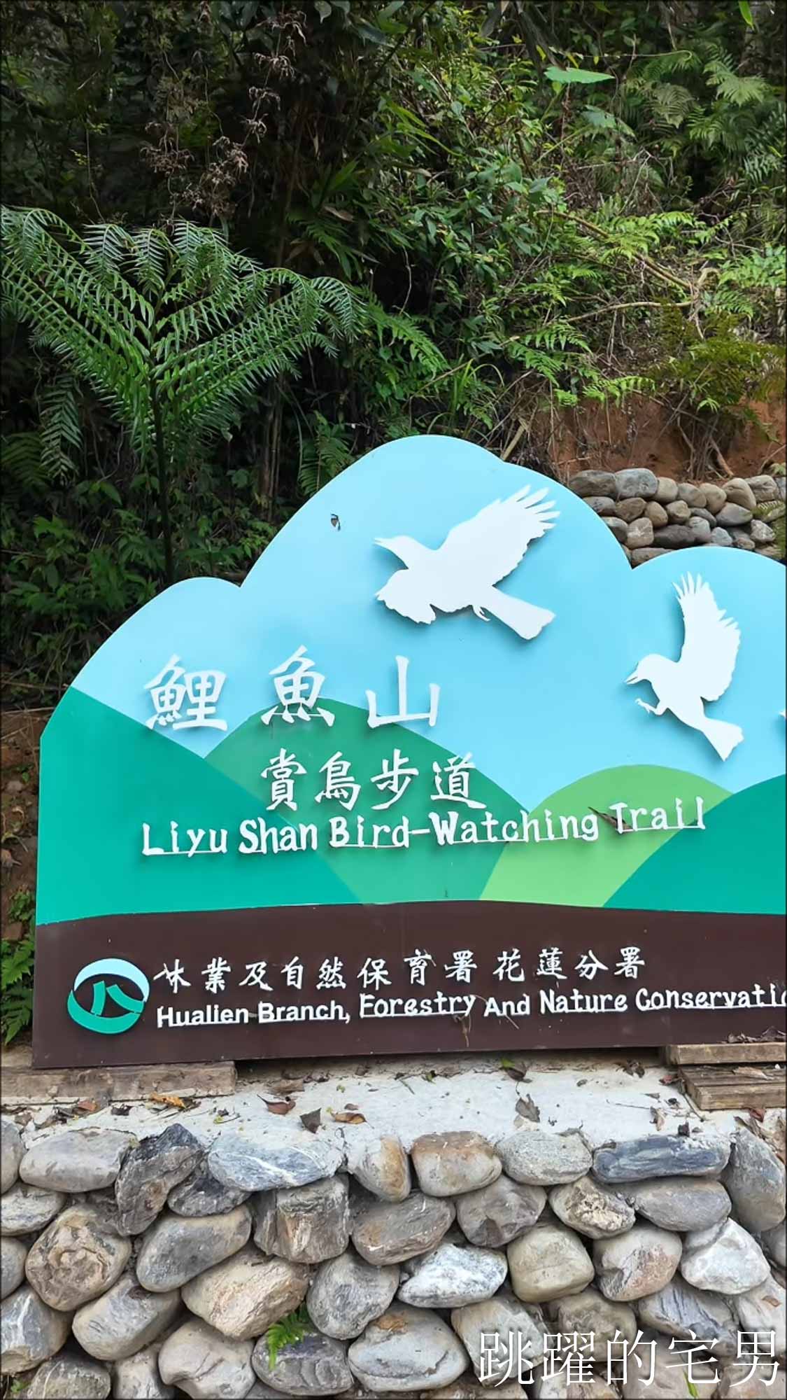花蓮旅遊用騎得更美！5條山海絕美單車路線推薦 2026花蓮山海騎遇記