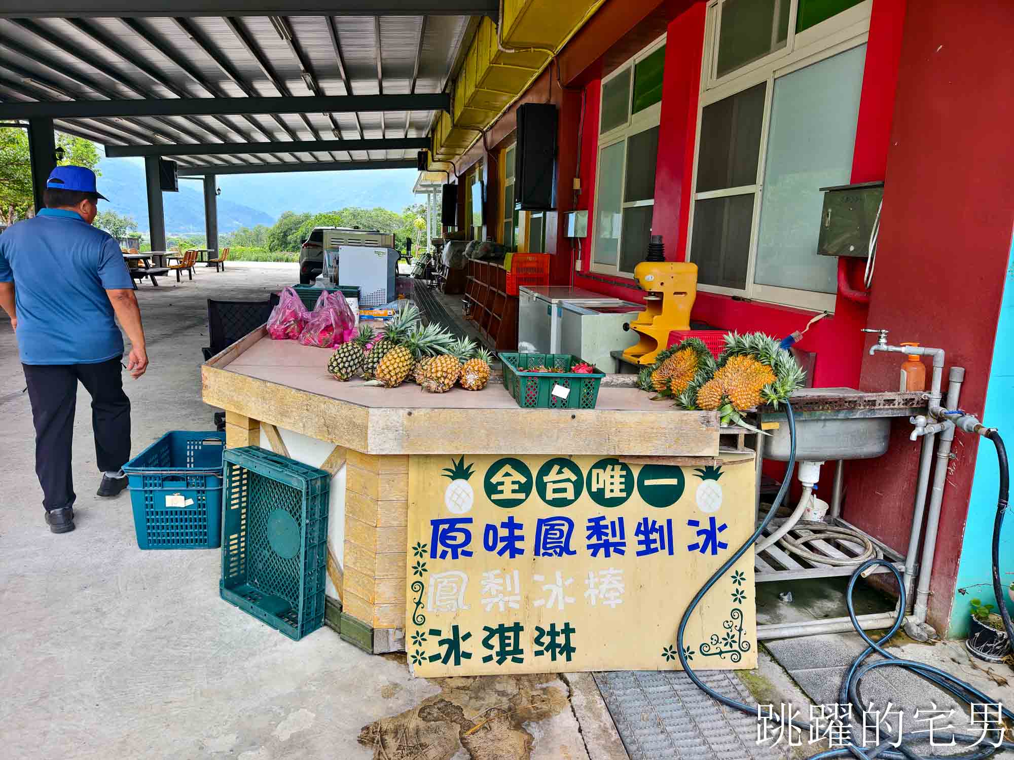 [瑞穗景點]富興小火車-穿越森林鳳梨田真療癒！整顆鳳梨做成刨冰味道絕佳好自然，花蓮瑞穗旅遊