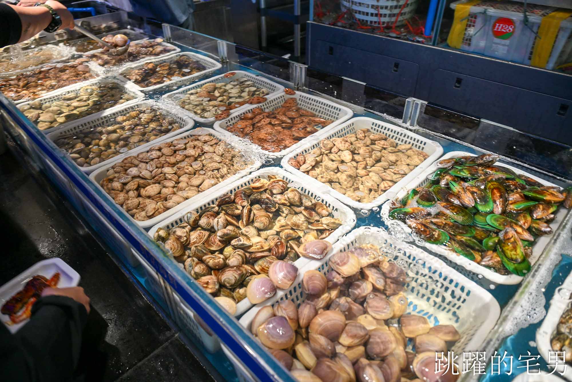 最狂廣州吃到飽!銘門御海宴 30公尺活海鮮水道任你撈,鮪魚解體秀、烤榴槤暢吃 最狂廣州吃到飽!銘門御海宴 30公尺活海鮮水道任你撈,鮪魚解體秀、烤榴槤暢吃