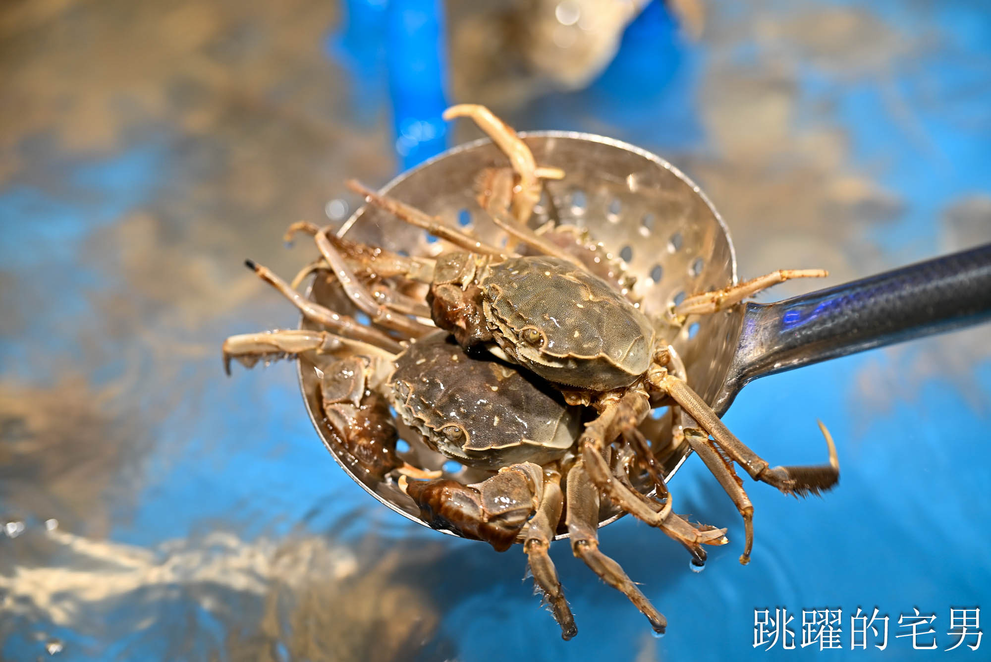 最狂廣州吃到飽!銘門御海宴 30公尺活海鮮水道任你撈,鮪魚解體秀、烤榴槤暢吃 最狂廣州吃到飽!銘門御海宴 30公尺活海鮮水道任你撈,鮪魚解體秀、烤榴槤暢吃