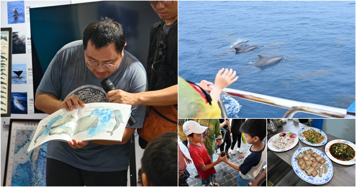 網站近期文章：[花蓮活動]花蓮旅遊漁港潮玩攻略: 半日遊活動看這裡! 花蓮親子活動有賞鯨、美食料理DIY一次體驗!
