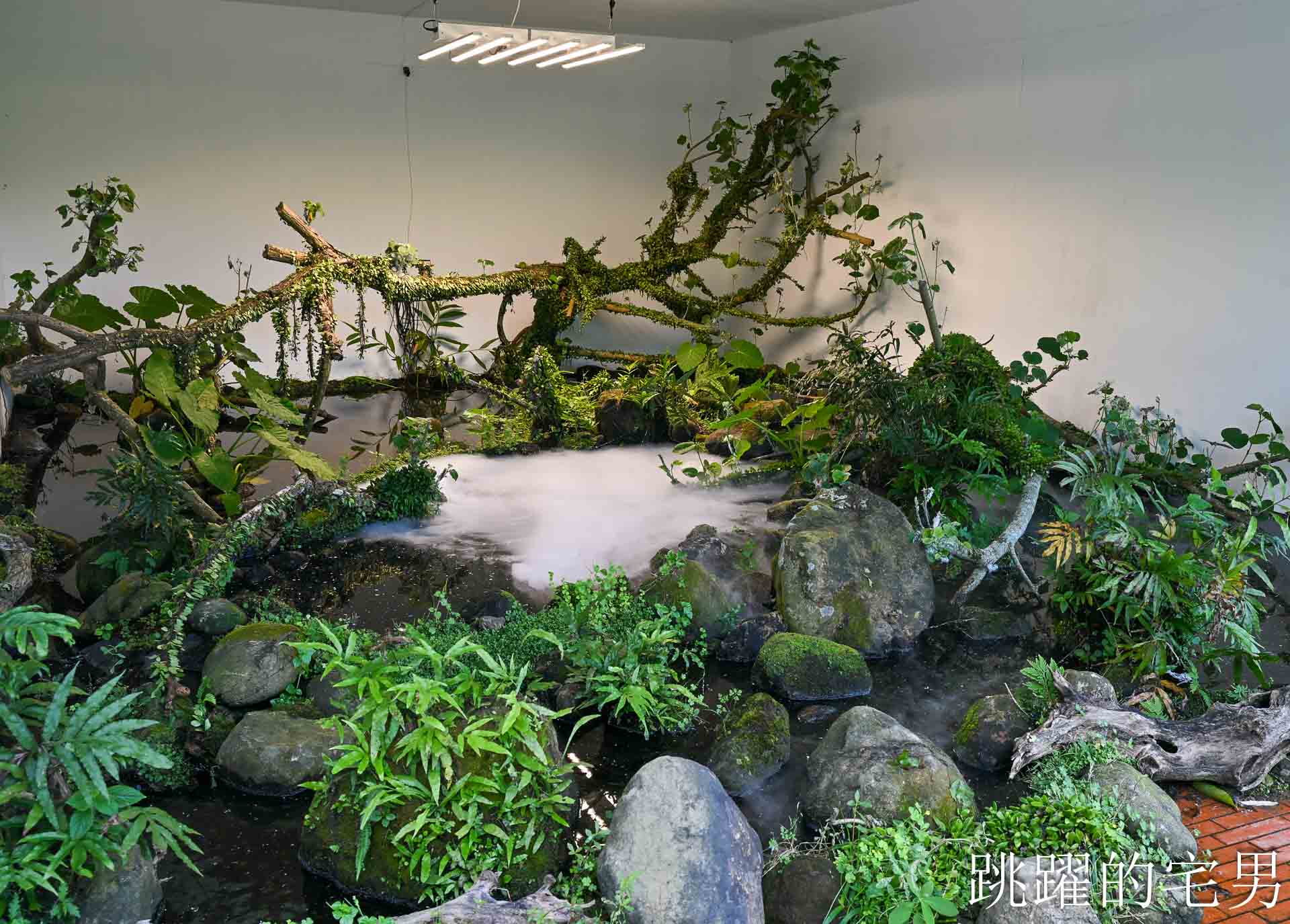 [2026福爾摩沙北海岸藝術季]北海岸一日遊推薦！朱銘美術館、金山老街美食、白沙灣、網美打卡點跳石公車站一次玩遍，潮歌藝術節