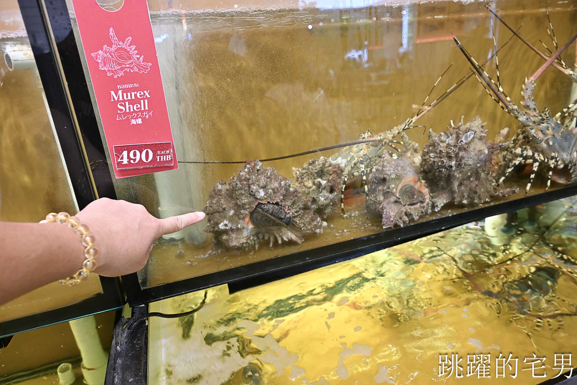 [奇隆站美食]Savoey上味泰餐館 Mercury Ville-泰國官方認證最佳50年曼谷海鮮餐廳，人生吃過最好吃蝦肉餅就在這! 空間舒服還有提供包廂  seafood savoey mercury ville