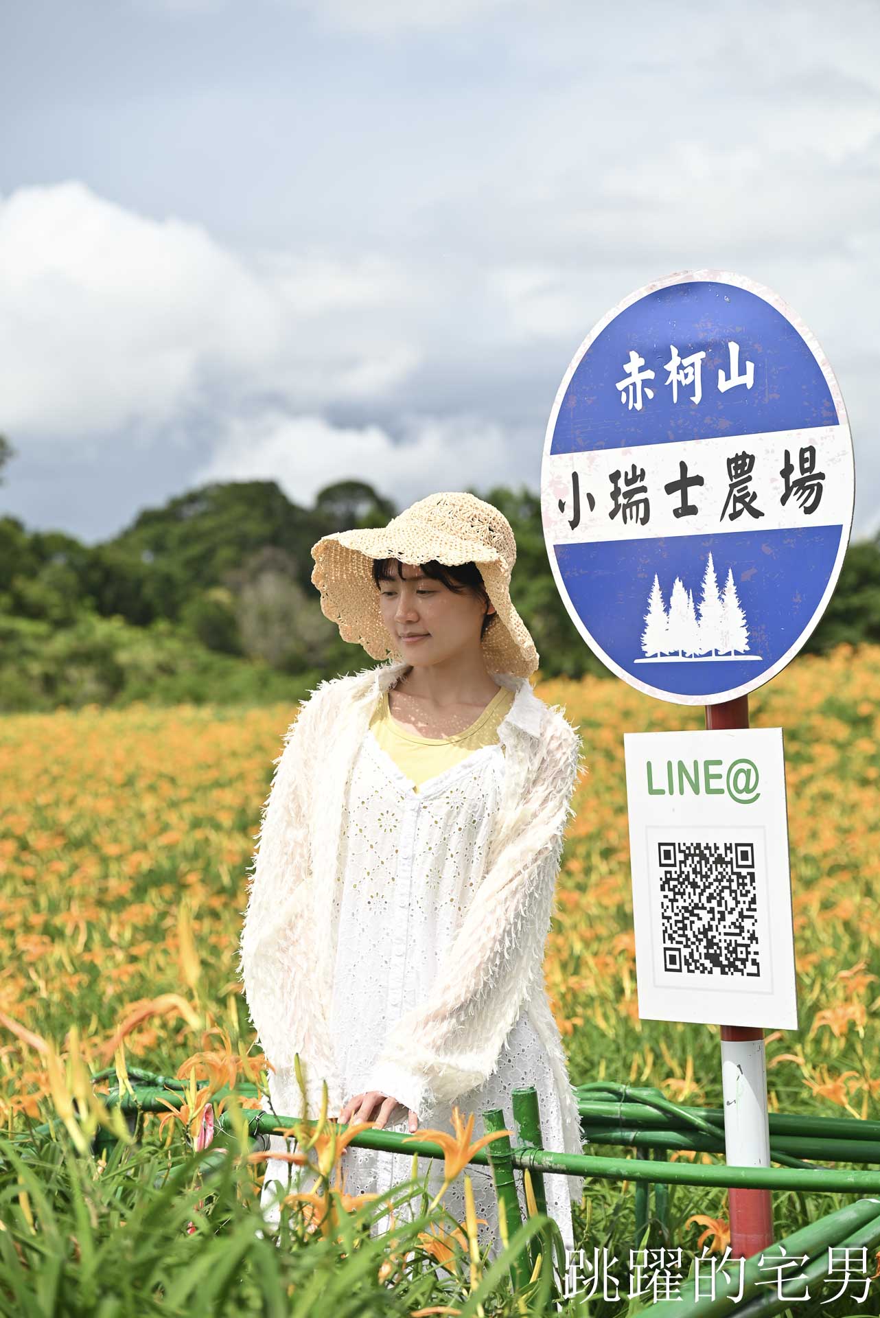[花蓮金針花季]赤科山小瑞士農場-這樣的台灣花海你見過嗎??? 9月金針花海大爆發！滿山橘黃花毯超夢幻