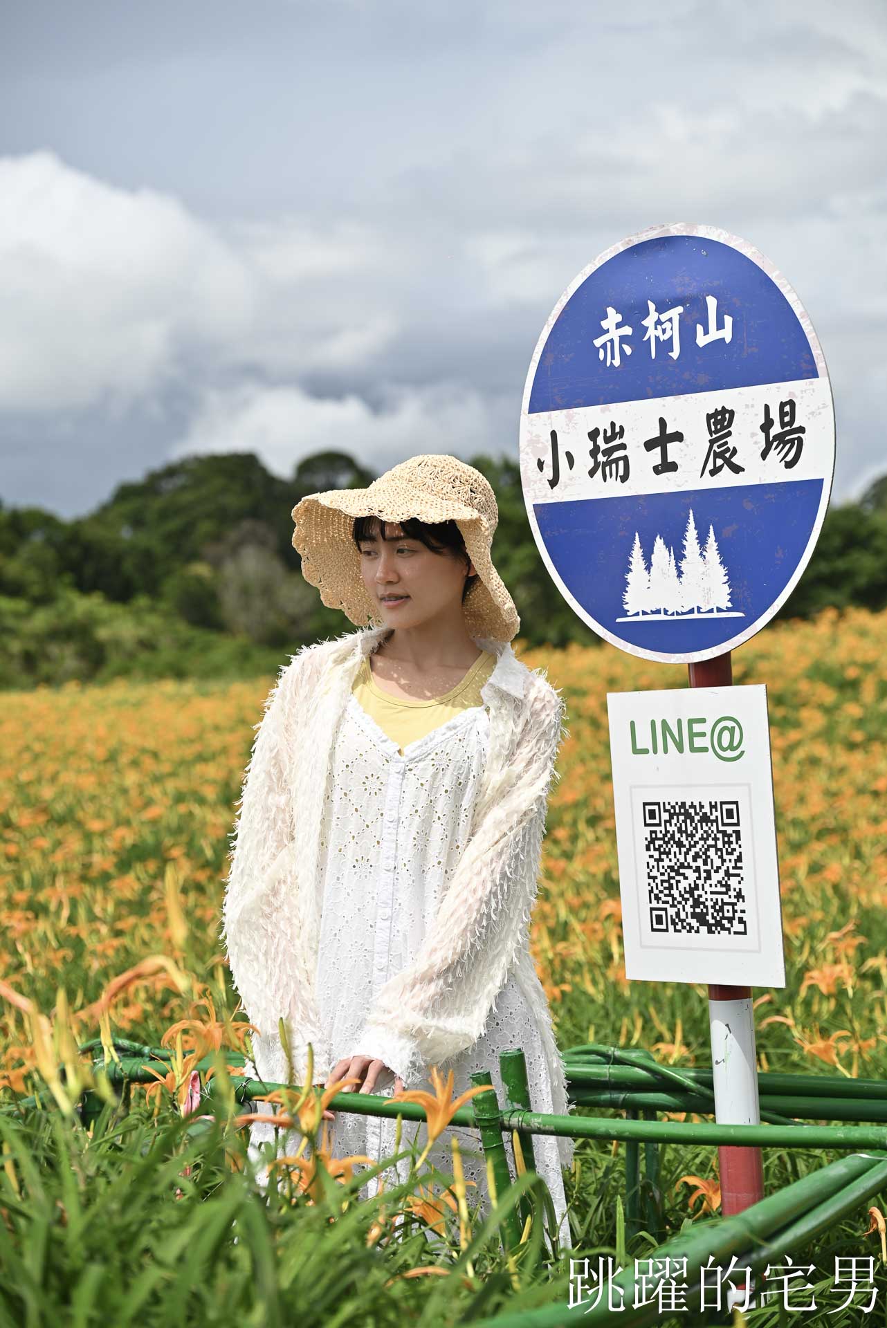 [花蓮景點推薦]2026赤科山金針花懶人包-9月花況、交通路況、賞花景點，林家園、小瑞士、櫻之谷咖啡廳一次玩，玉里景點金針花海