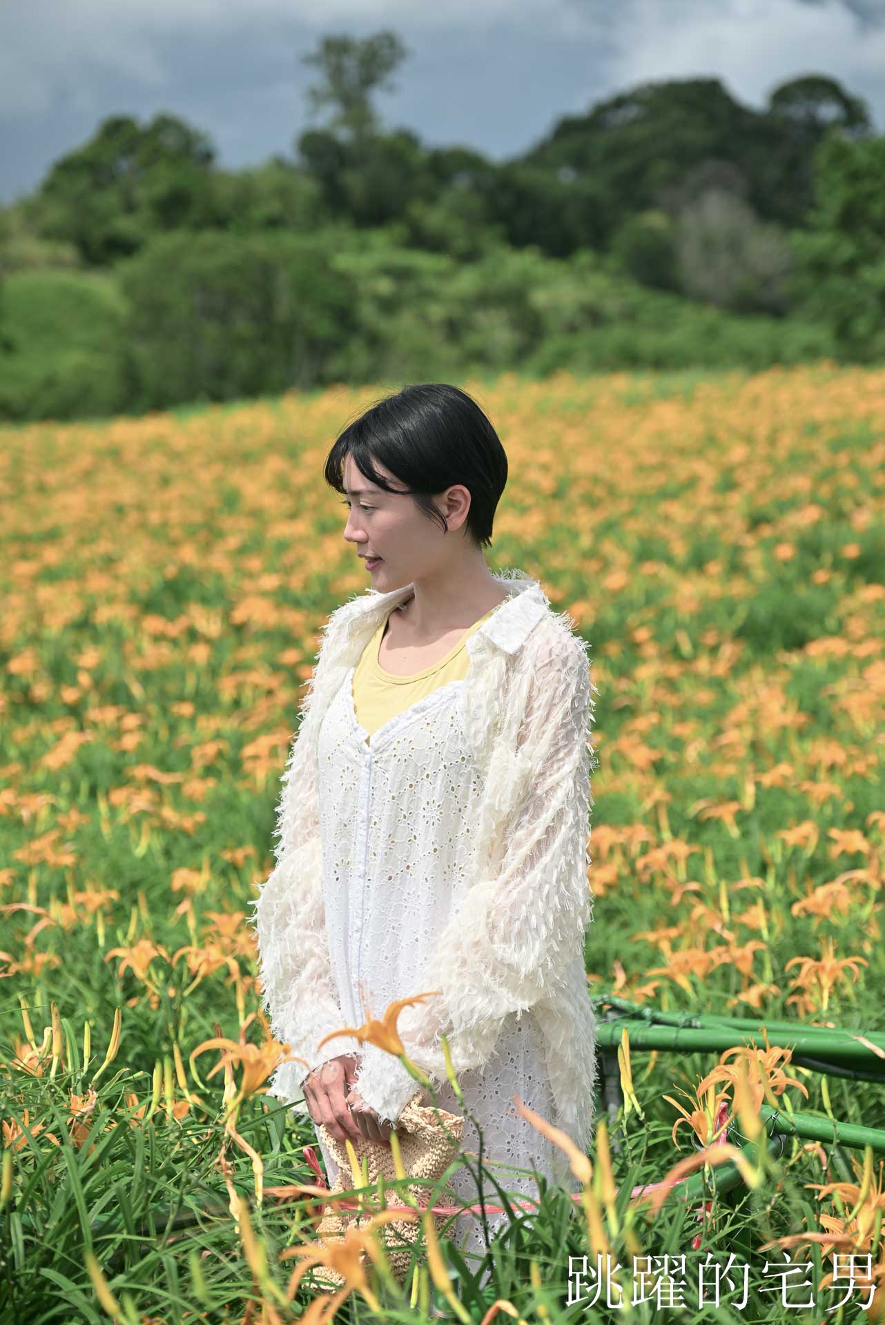 [花蓮金針花季]赤科山小瑞士農場-這樣的台灣花海你見過嗎??? 9月金針花海大爆發！滿山橘黃花毯超夢幻