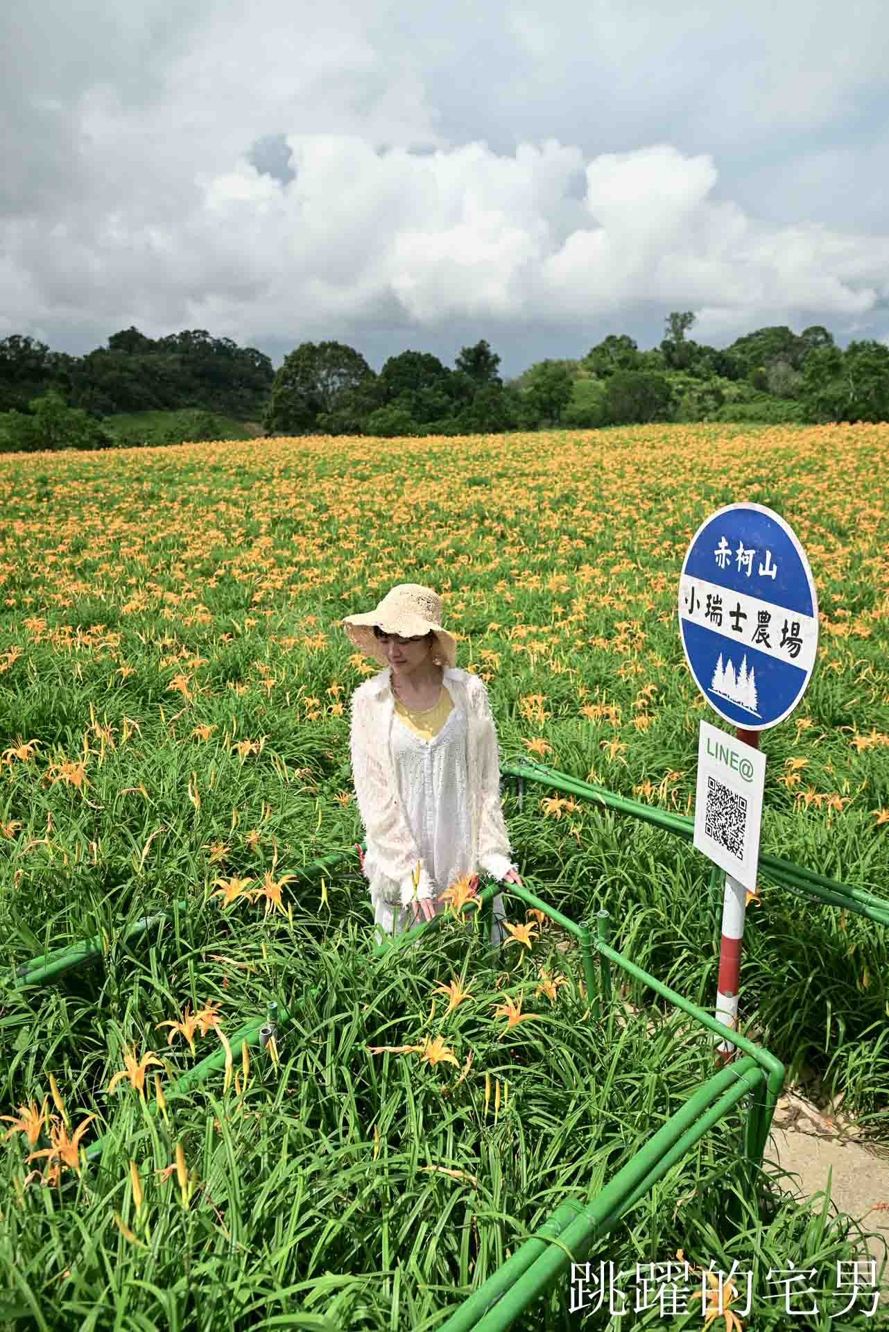 [花蓮景點推薦]2026赤科山金針花懶人包-9月花況、交通路況、賞花景點，林家園、小瑞士、櫻之谷咖啡廳一次玩，玉里景點金針花海