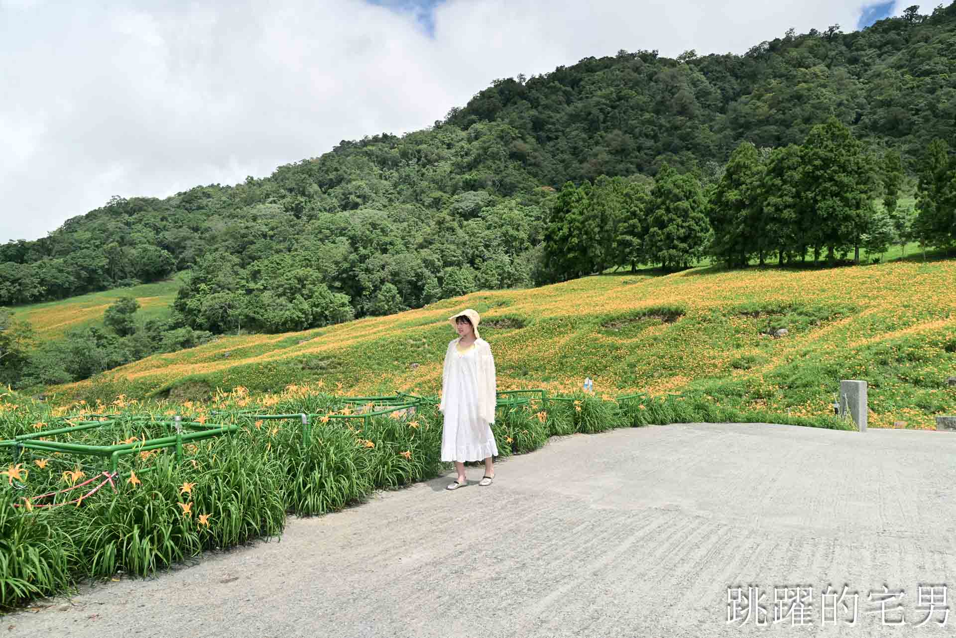 [花蓮金針花季]赤科山小瑞士農場-這樣的台灣花海你見過嗎??? 9月金針花海大爆發！滿山橘黃花毯超夢幻
