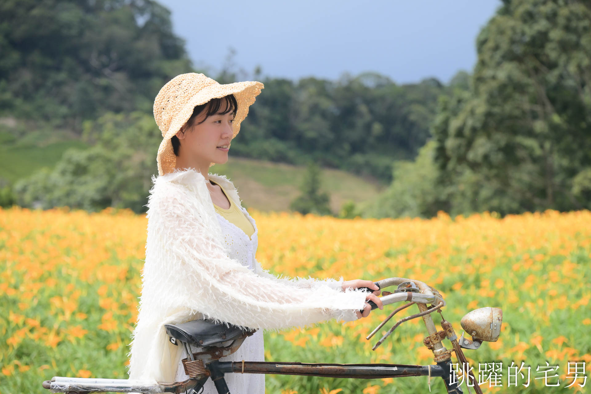 [花蓮金針花季]赤科山小瑞士農場-這樣的台灣花海你見過嗎??? 9月金針花海大爆發！滿山橘黃花毯超夢幻