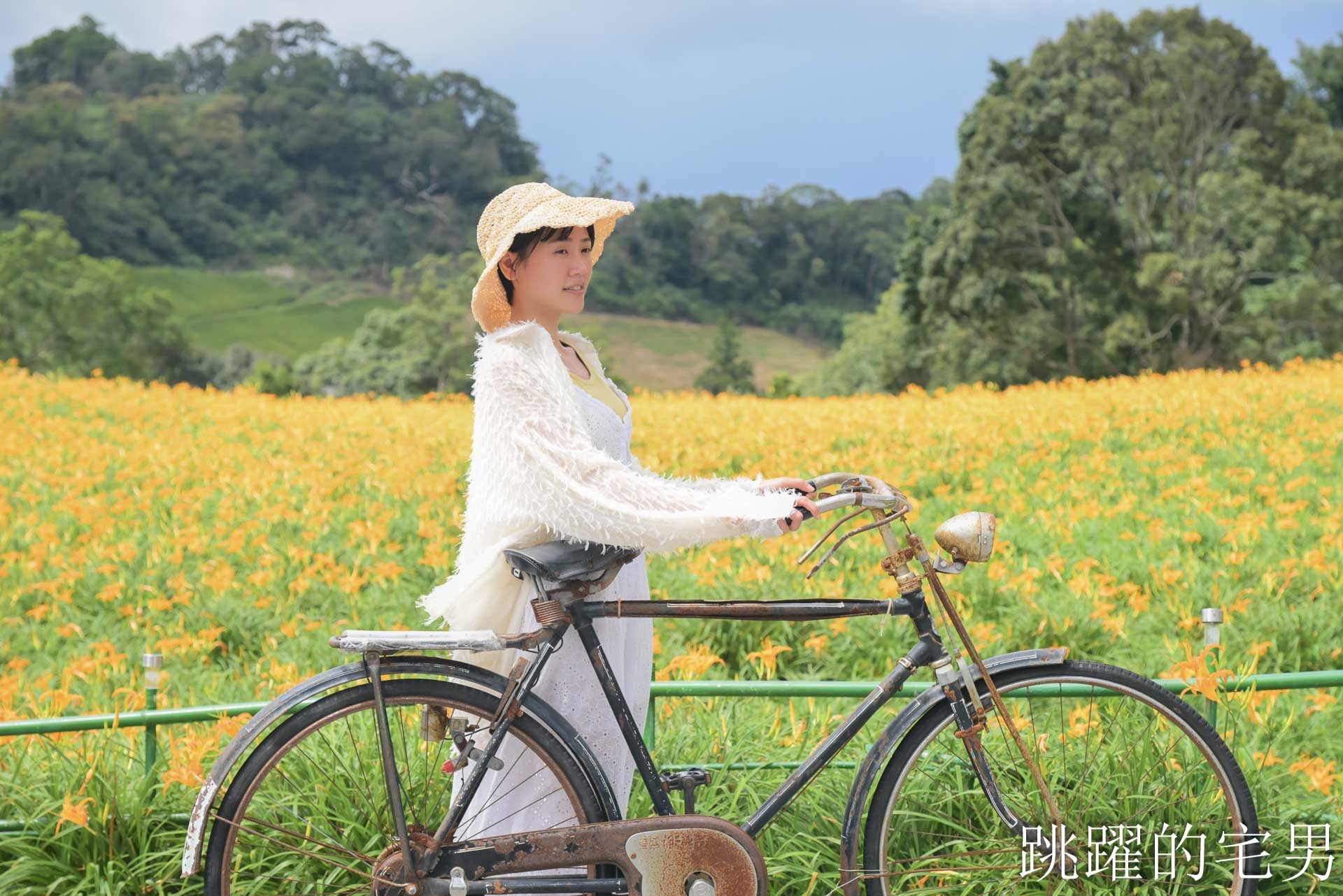 [花蓮金針花季]赤科山小瑞士農場-這樣的台灣花海你見過嗎??? 9月金針花海大爆發！滿山橘黃花毯超夢幻
