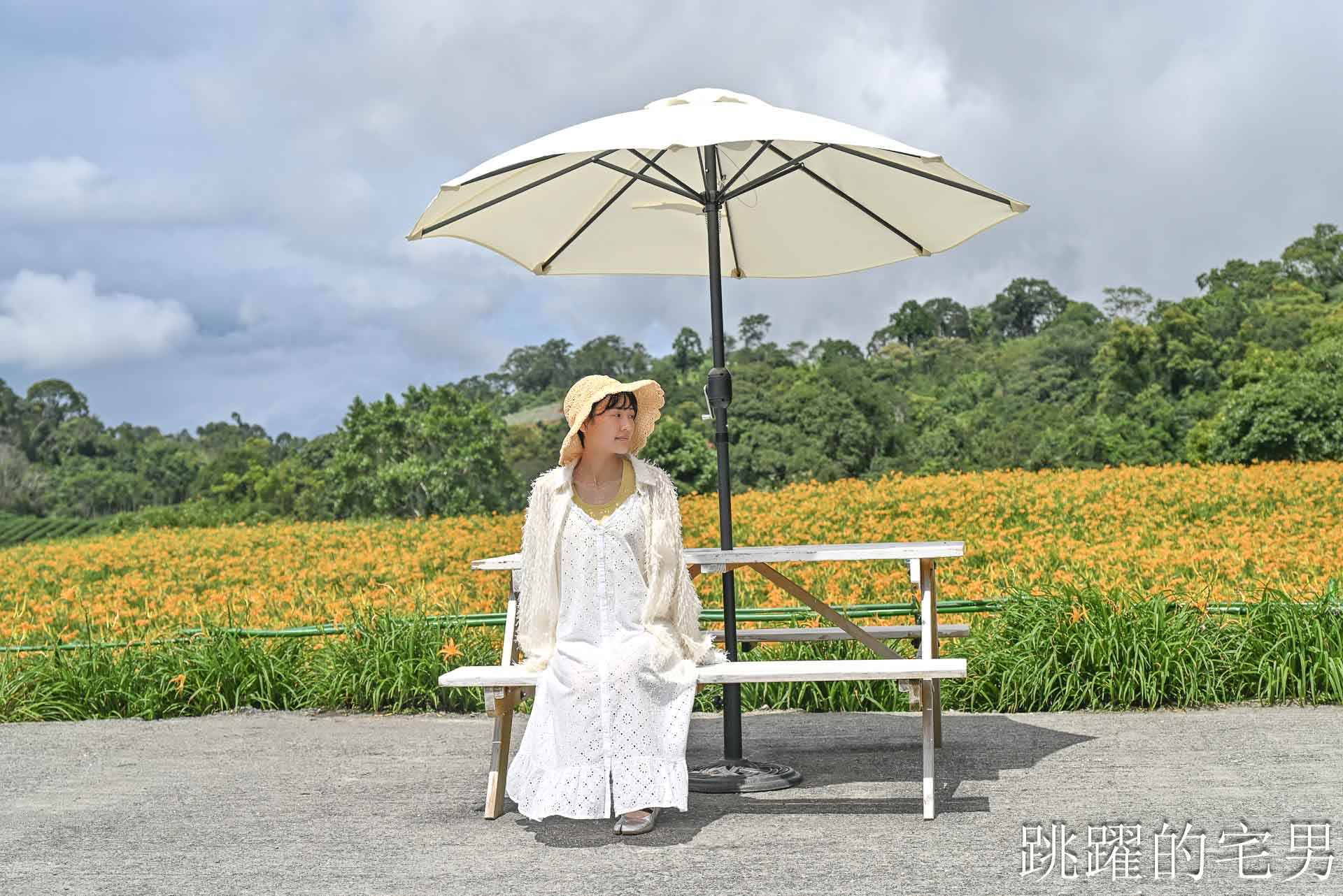 [花蓮金針花季]赤科山小瑞士農場-這樣的台灣花海你見過嗎??? 9月金針花海大爆發！滿山橘黃花毯超夢幻