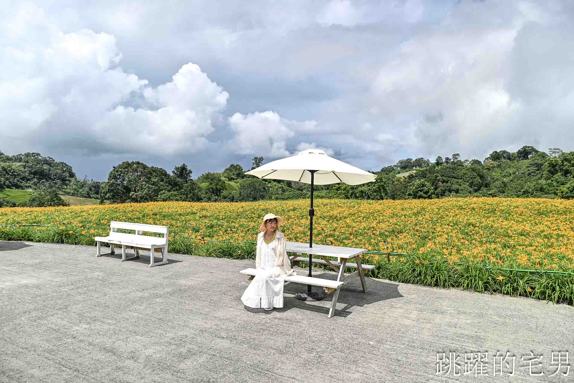 [花蓮景點推薦]2026赤科山金針花懶人包-9月花況、交通路況、賞花景點，林家園、小瑞士、櫻之谷咖啡廳一次玩，玉里景點金針花海