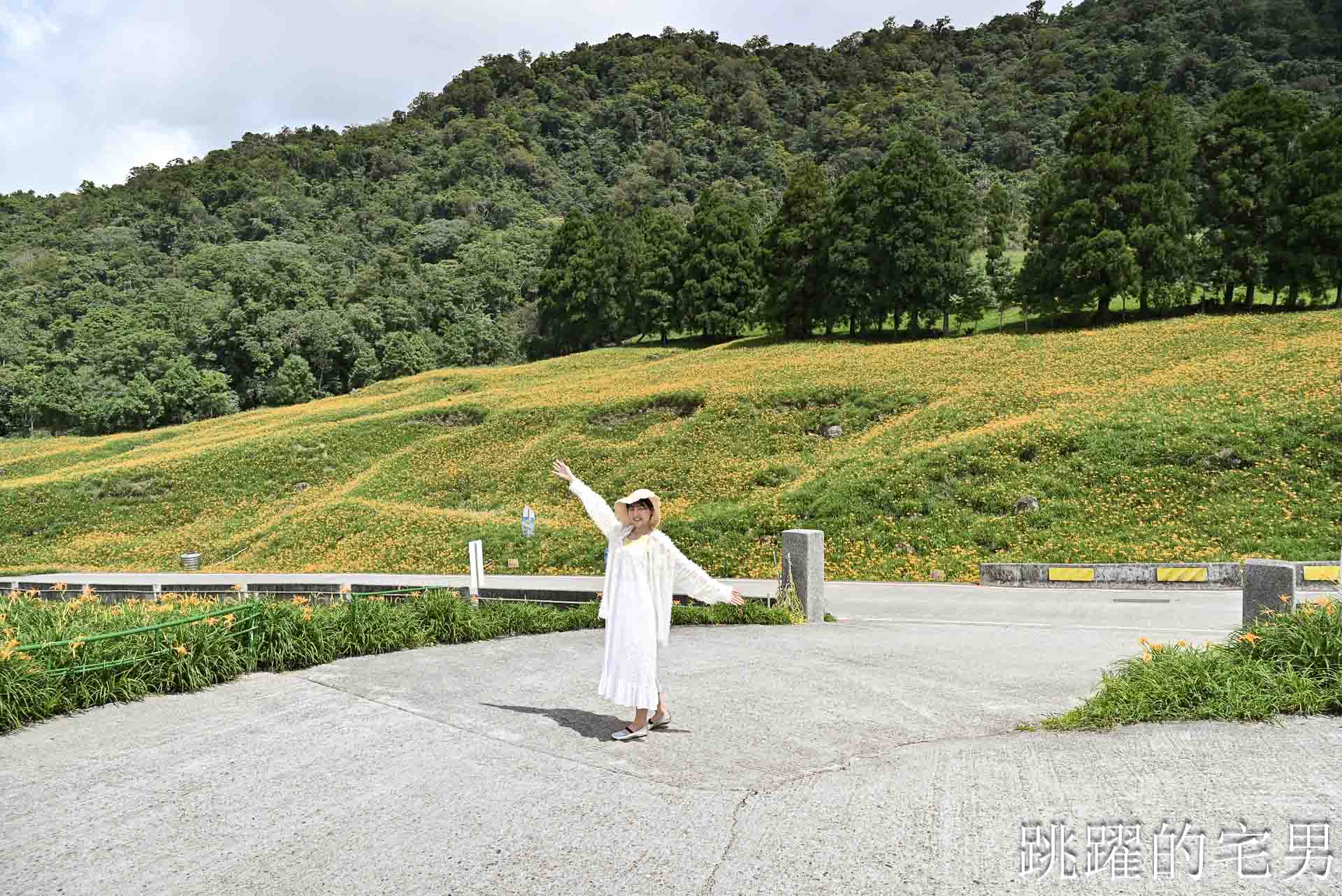 [花蓮景點推薦]2026赤科山金針花懶人包-9月花況、交通路況、賞花景點，林家園、小瑞士、櫻之谷咖啡廳一次玩，玉里景點金針花海