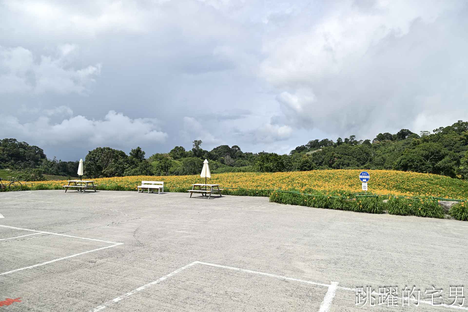 [花蓮金針花季]赤科山小瑞士農場-這樣的台灣花海你見過嗎??? 9月金針花海大爆發！滿山橘黃花毯超夢幻