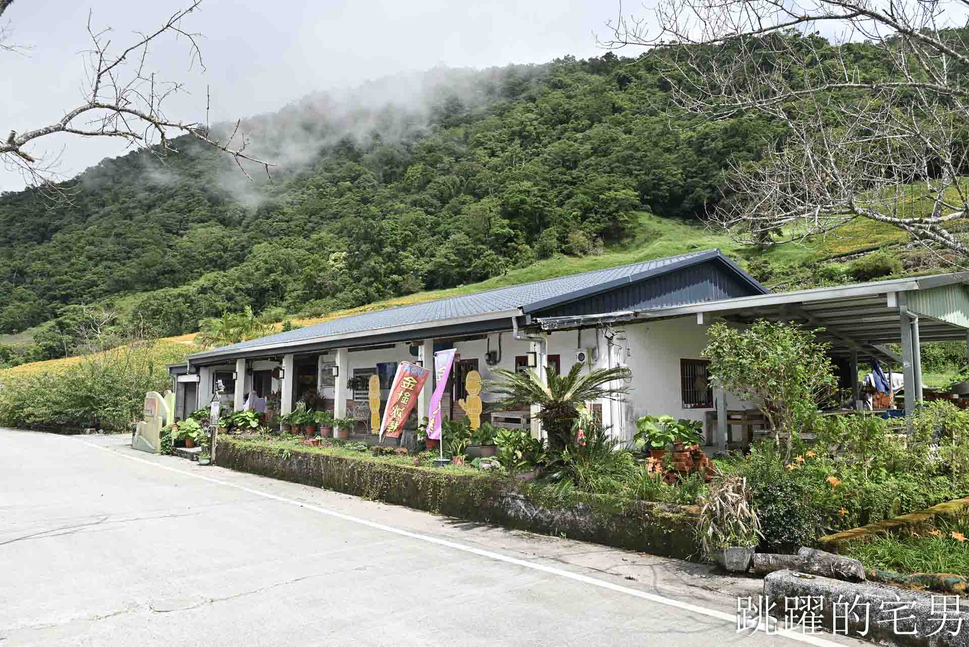 [花蓮景點推薦]2026赤科山金針花懶人包-9月花況、交通路況、賞花景點，林家園、小瑞士、櫻之谷咖啡廳一次玩，玉里景點金針花海