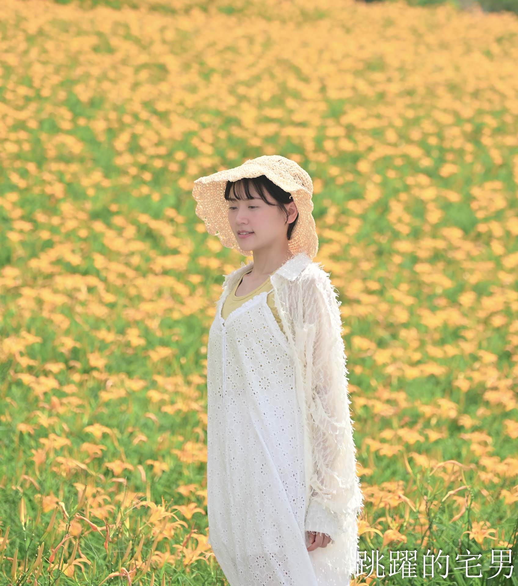 [花蓮景點推薦]2026赤科山金針花懶人包-9月花況、交通路況、賞花景點，林家園、小瑞士、櫻之谷咖啡廳一次玩，玉里景點金針花海