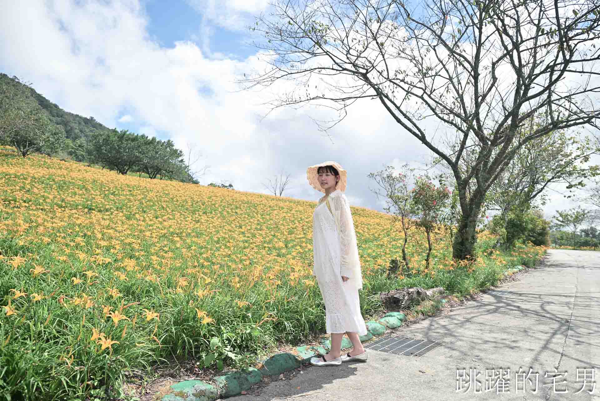 [花蓮景點推薦]2026赤科山金針花懶人包-9月花況、交通路況、賞花景點，林家園、小瑞士、櫻之谷咖啡廳一次玩，玉里景點金針花海