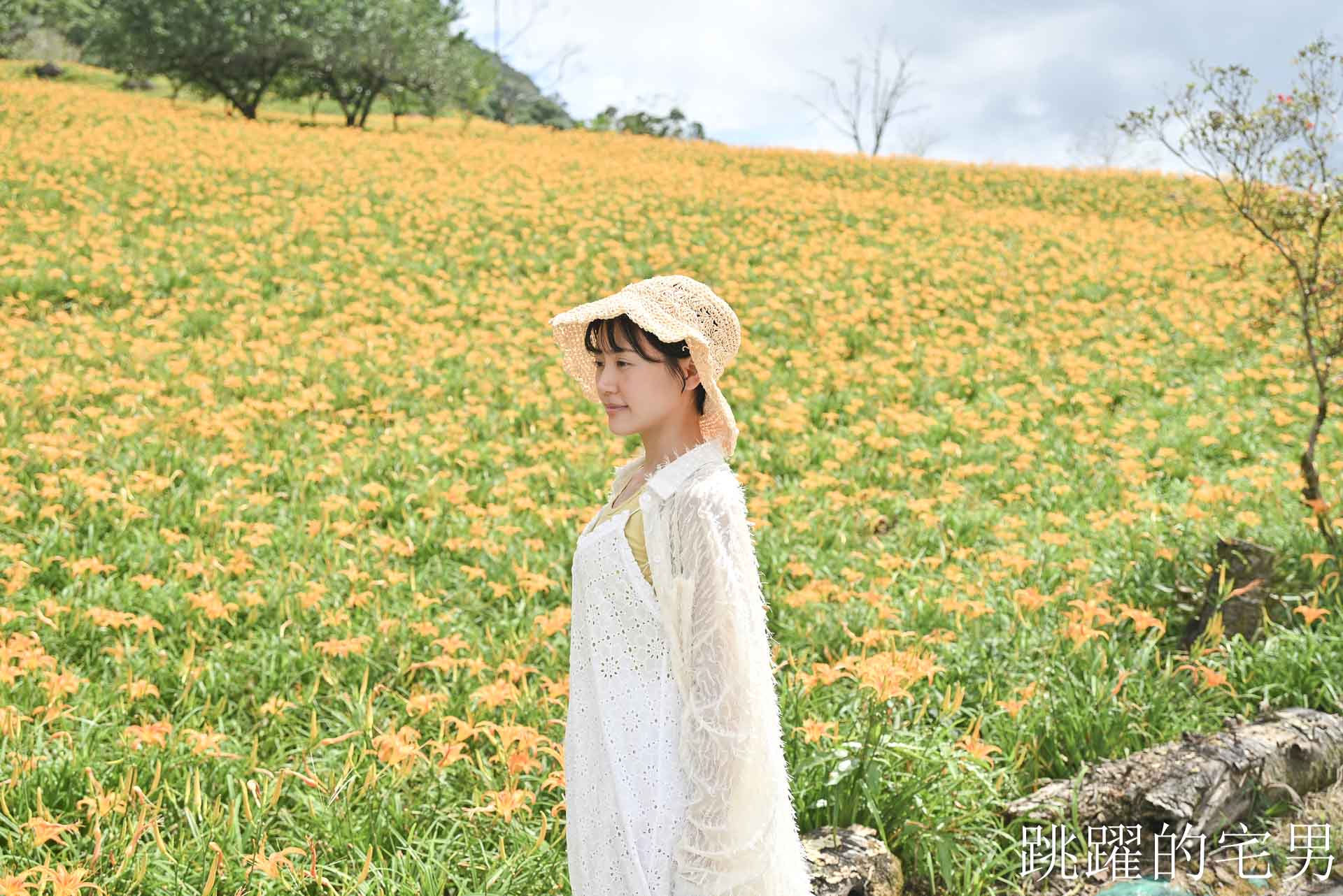 [花蓮景點推薦]2026赤科山金針花懶人包-9月花況、交通路況、賞花景點，林家園、小瑞士、櫻之谷咖啡廳一次玩，玉里景點金針花海
