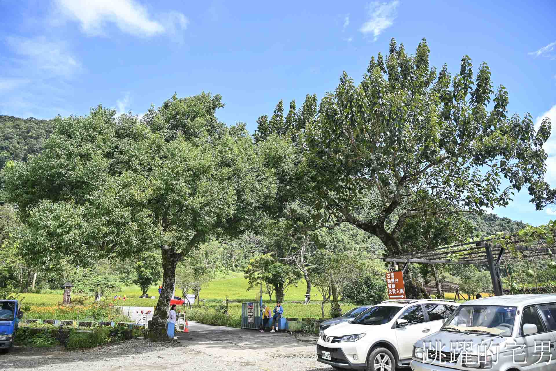 [花蓮賞花景點]汪家古厝-2026赤科山花況，古厝後方藏著整片金針花海！盪鞦韆山丘花田超夢幻，赤科山旅遊景點推薦