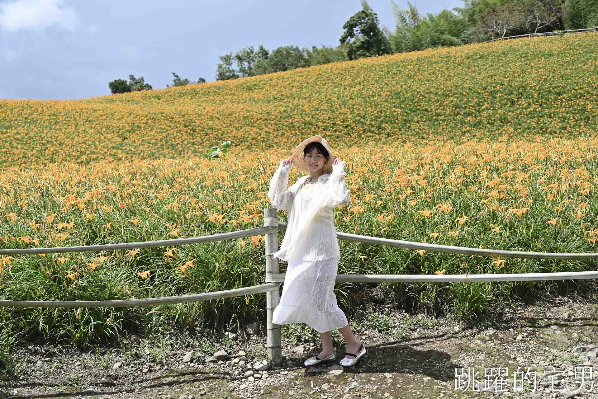[花蓮賞花景點]汪家古厝-2026赤科山花況，古厝後方藏著整片金針花海！盪鞦韆山丘花田超夢幻，赤科山旅遊景點推薦