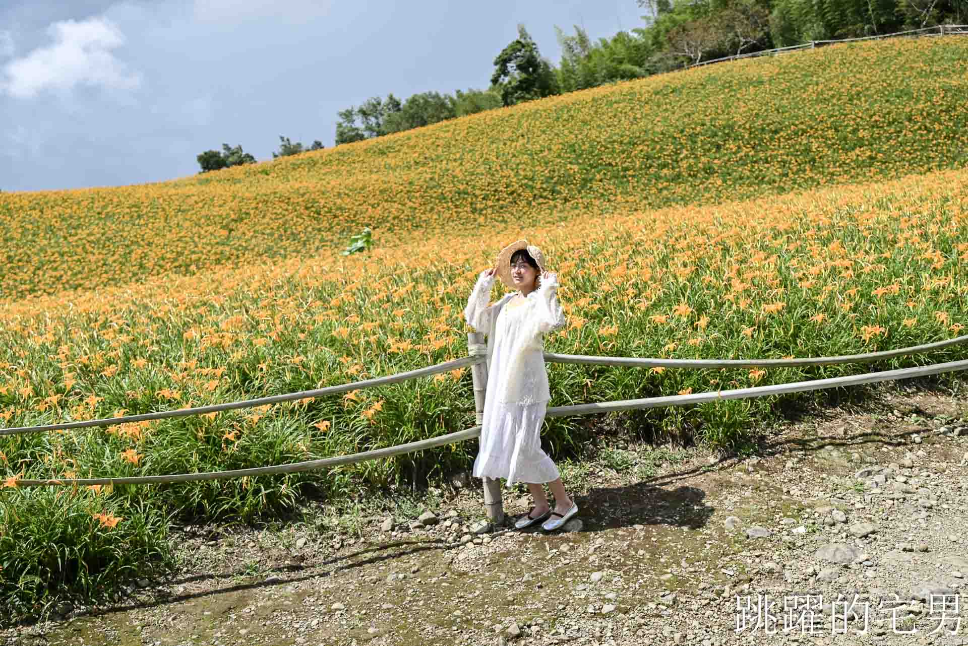 網站近期文章：[花蓮景點推薦]2026赤科山金針花懶人包-9月花況、交通路況、賞花景點，林家園、小瑞士、櫻之谷咖啡廳一次玩，玉里景點金針花海