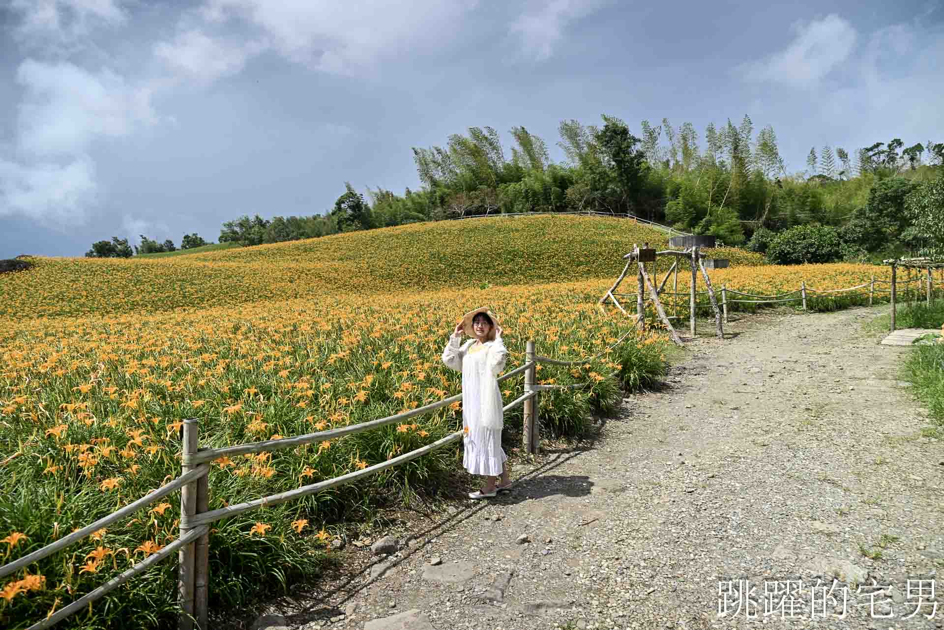 [花蓮景點推薦]2026赤科山金針花懶人包-9月花況、交通路況、賞花景點，林家園、小瑞士、櫻之谷咖啡廳一次玩，玉里景點金針花海