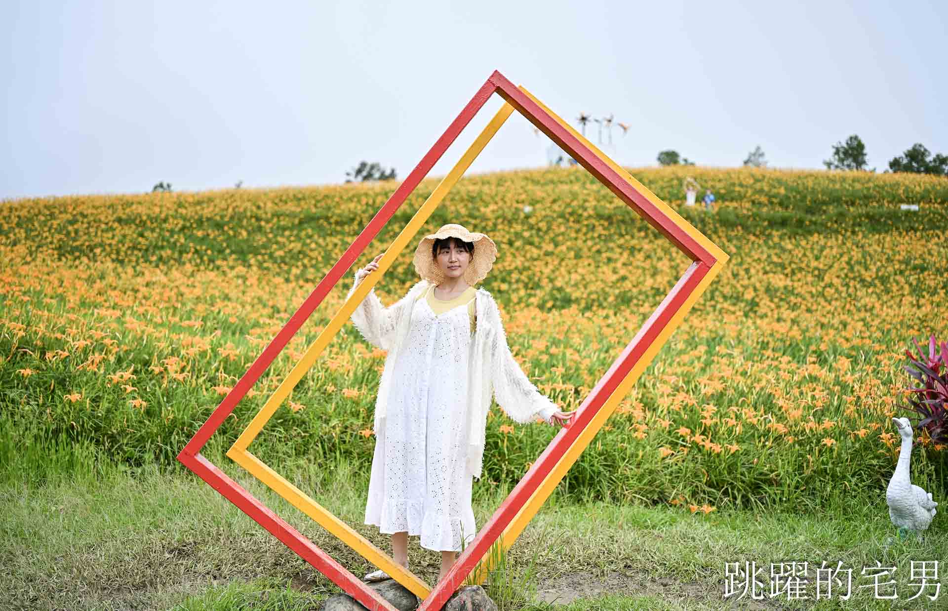 [花蓮景點推薦]2026赤科山金針花懶人包-9月花況、交通路況、賞花景點，林家園、小瑞士、櫻之谷咖啡廳一次玩，玉里景點金針花海