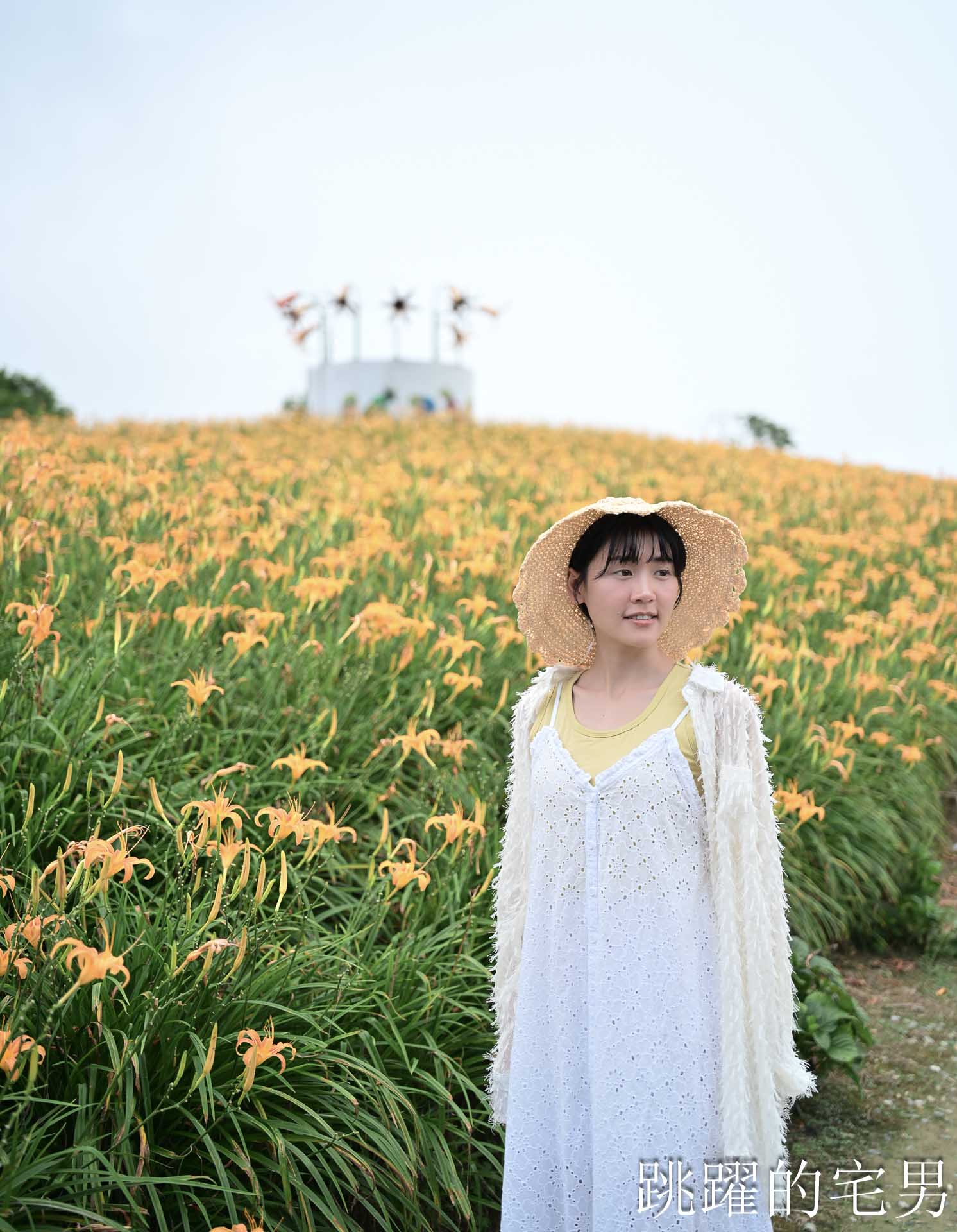 [花蓮金針花海]赤科山林家園休閒農場: 金針花2026花況、大片金黃色花朵鋪滿整個山坡!  拍照景點，花蓮景點推薦，赤科山餐廳