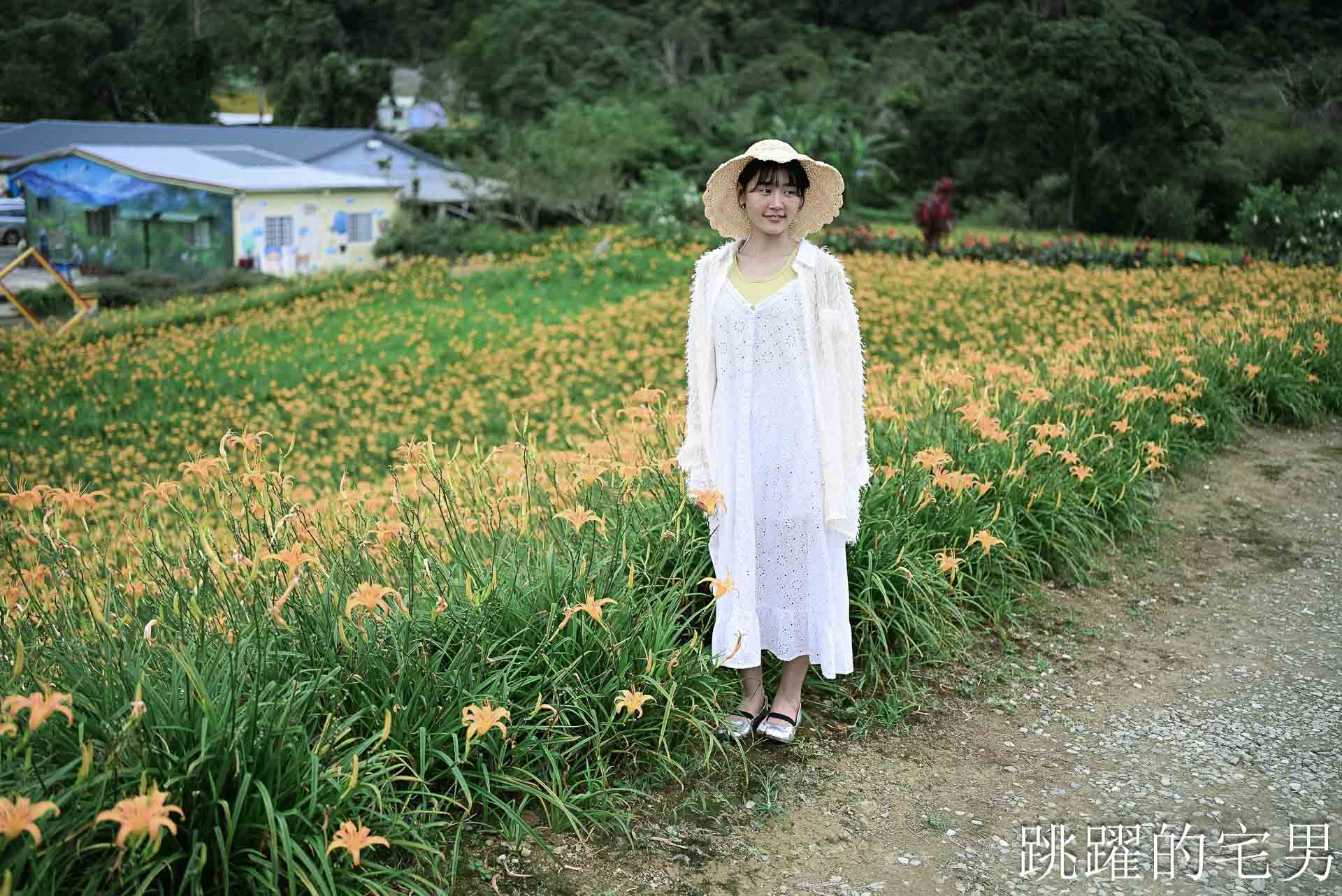 [花蓮景點推薦]2026赤科山金針花懶人包-9月花況、交通路況、賞花景點，林家園、小瑞士、櫻之谷咖啡廳一次玩，玉里景點金針花海