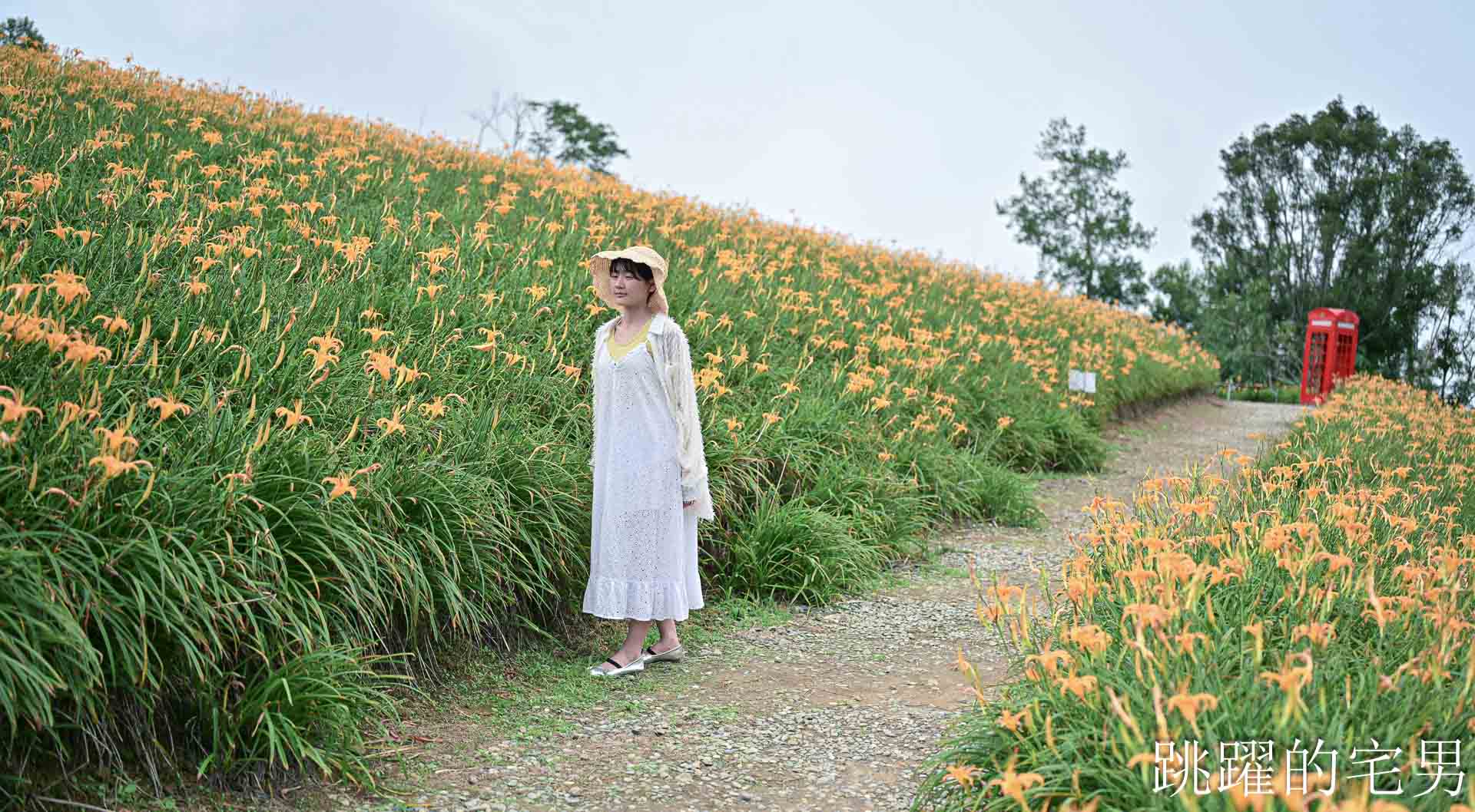 [花蓮景點推薦]2026赤科山金針花懶人包-9月花況、交通路況、賞花景點，林家園、小瑞士、櫻之谷咖啡廳一次玩，玉里景點金針花海