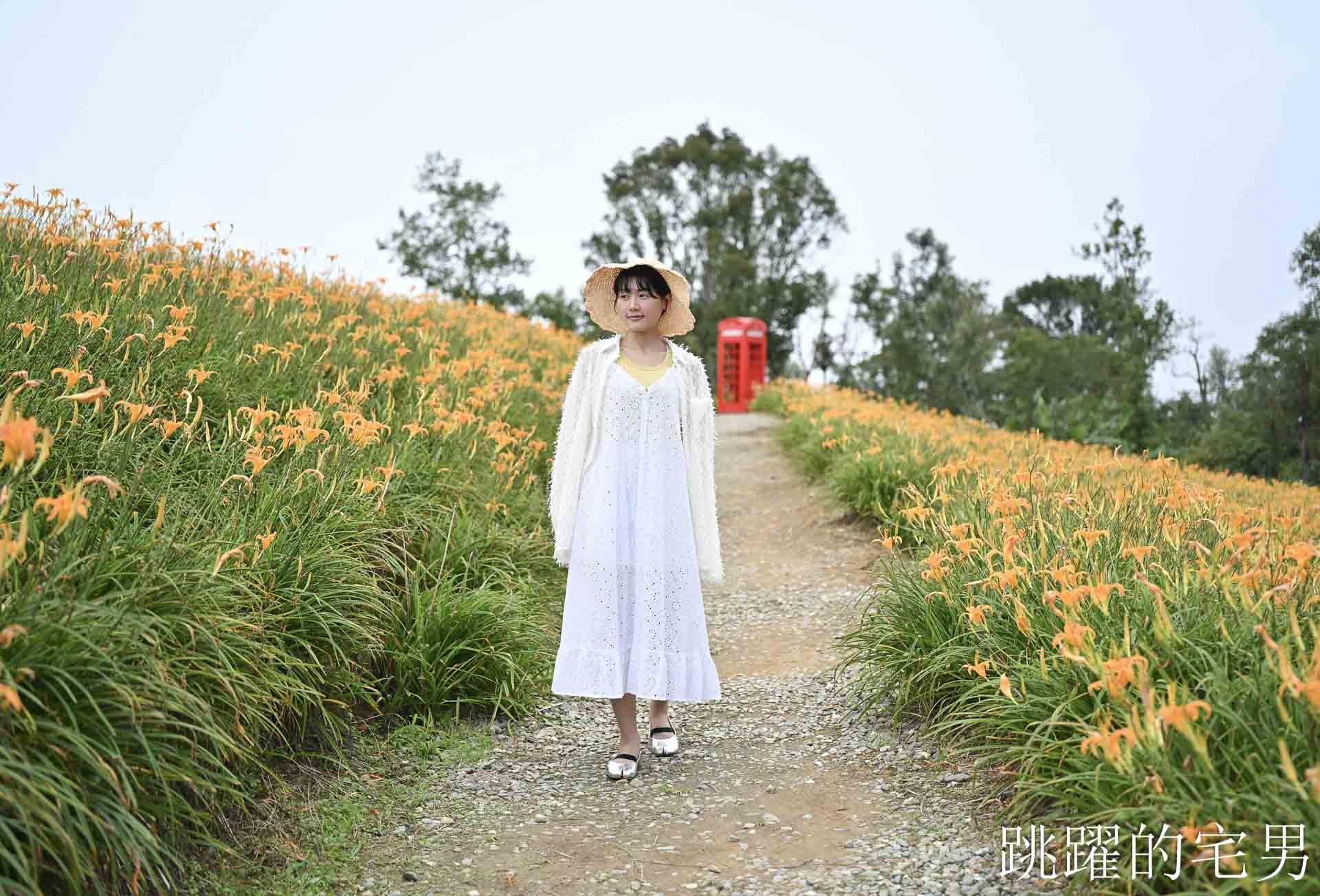 [花蓮金針花海]赤科山林家園休閒農場: 金針花2026花況、大片金黃色花朵鋪滿整個山坡!  拍照景點，花蓮景點推薦，赤科山餐廳