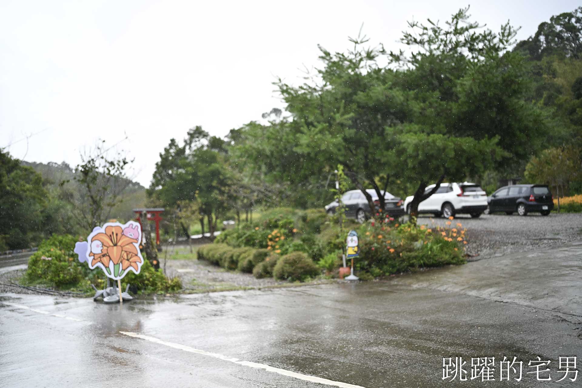[赤科山咖啡廳]櫻之谷咖啡民宿-這是什麼夢幻咖啡廳，窗外直接花海!   景色直接像一幅畫! 還有可愛柴犬，玉里咖啡廳