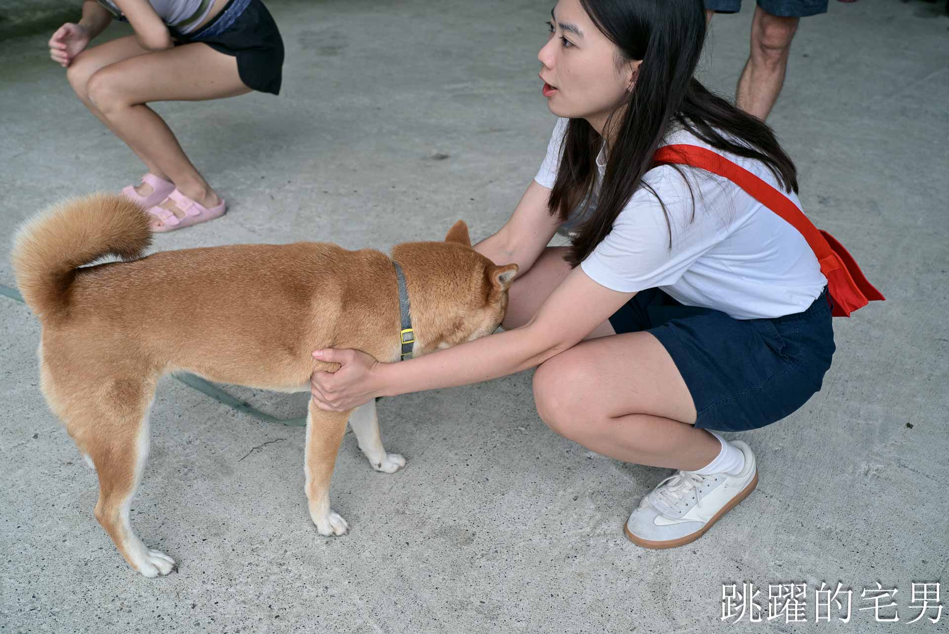 [赤科山咖啡廳]櫻之谷咖啡民宿-這是什麼夢幻咖啡廳，窗外直接花海!   景色直接像一幅畫! 還有可愛柴犬，玉里咖啡廳