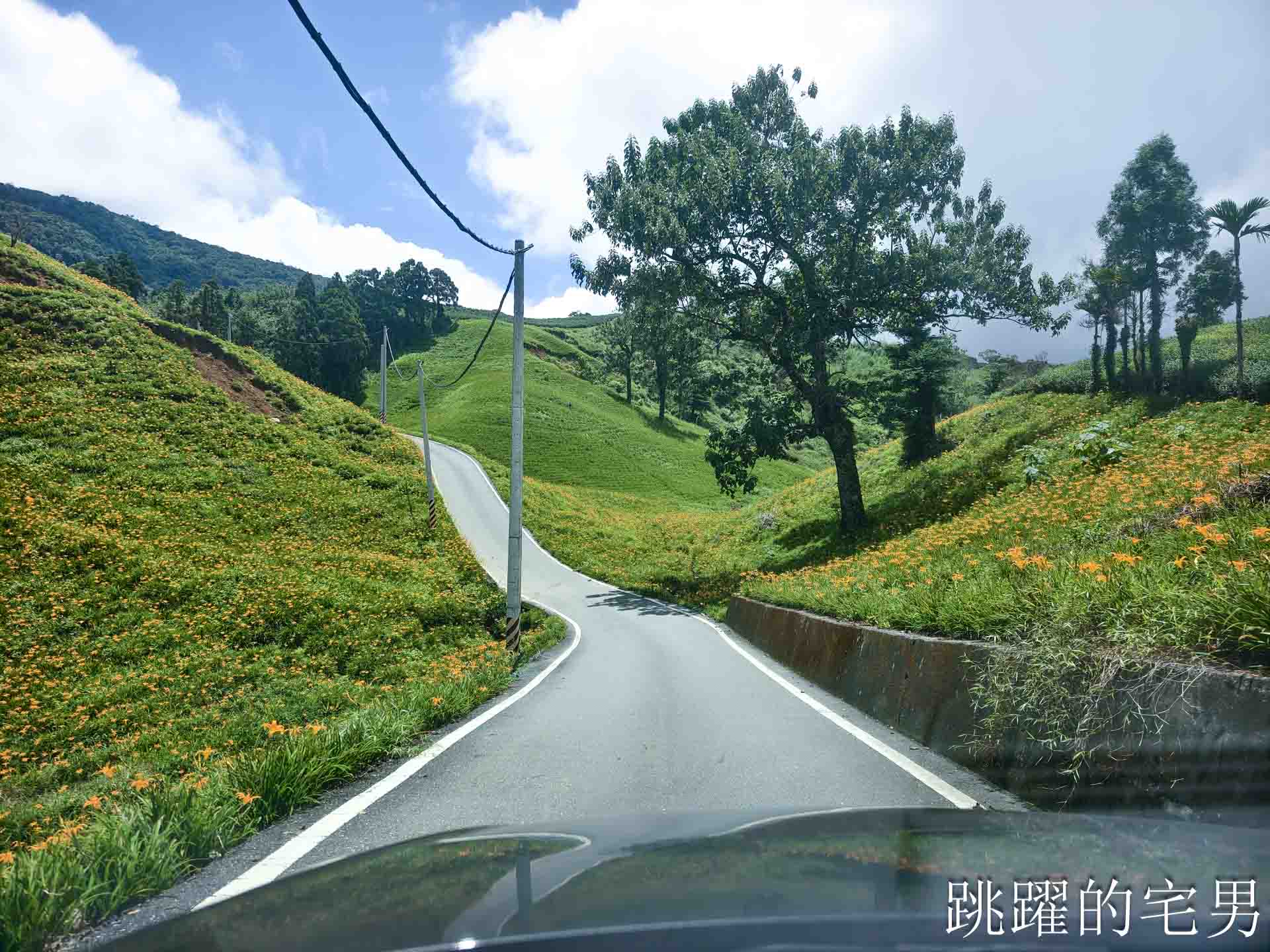 [花蓮景點推薦]2026赤科山金針花懶人包-9月花況、交通路況、賞花景點，林家園、小瑞士、櫻之谷咖啡廳一次玩，玉里景點金針花海