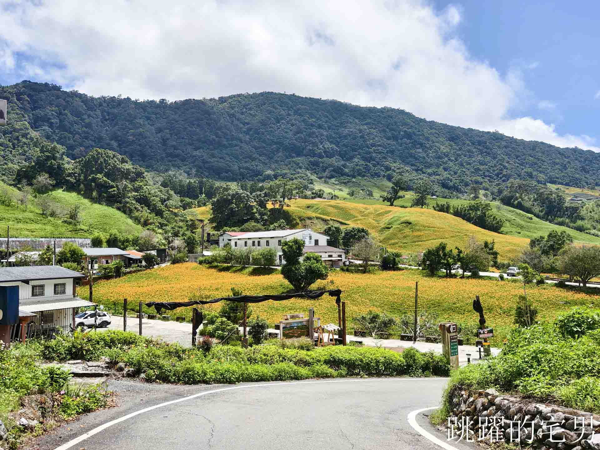 [花蓮景點推薦]2026赤科山金針花懶人包-9月花況、交通路況、賞花景點，林家園、小瑞士、櫻之谷咖啡廳一次玩，玉里景點金針花海