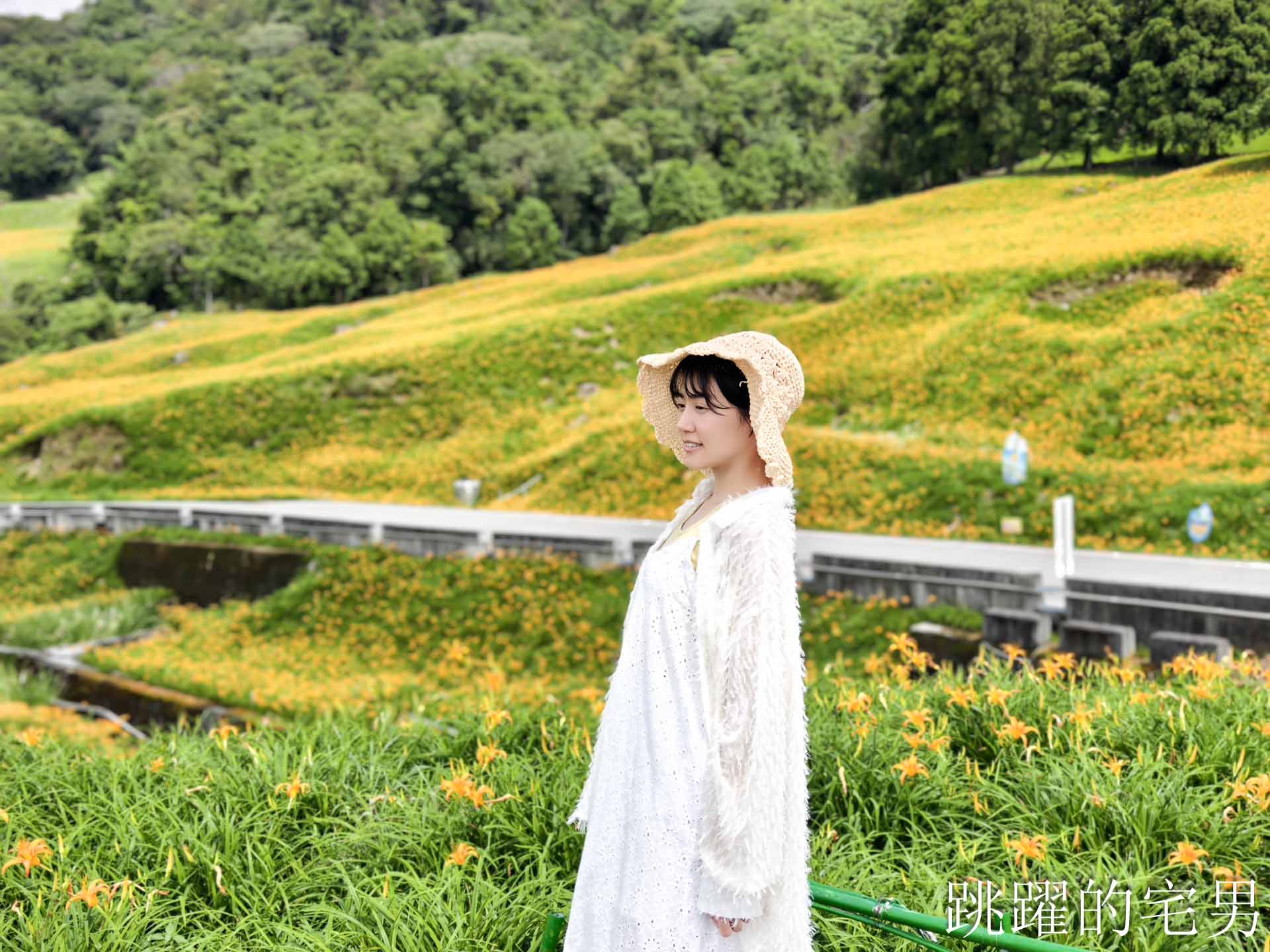 [花蓮金針花季]赤科山小瑞士農場-這樣的台灣花海你見過嗎??? 9月金針花海大爆發！滿山橘黃花毯超夢幻