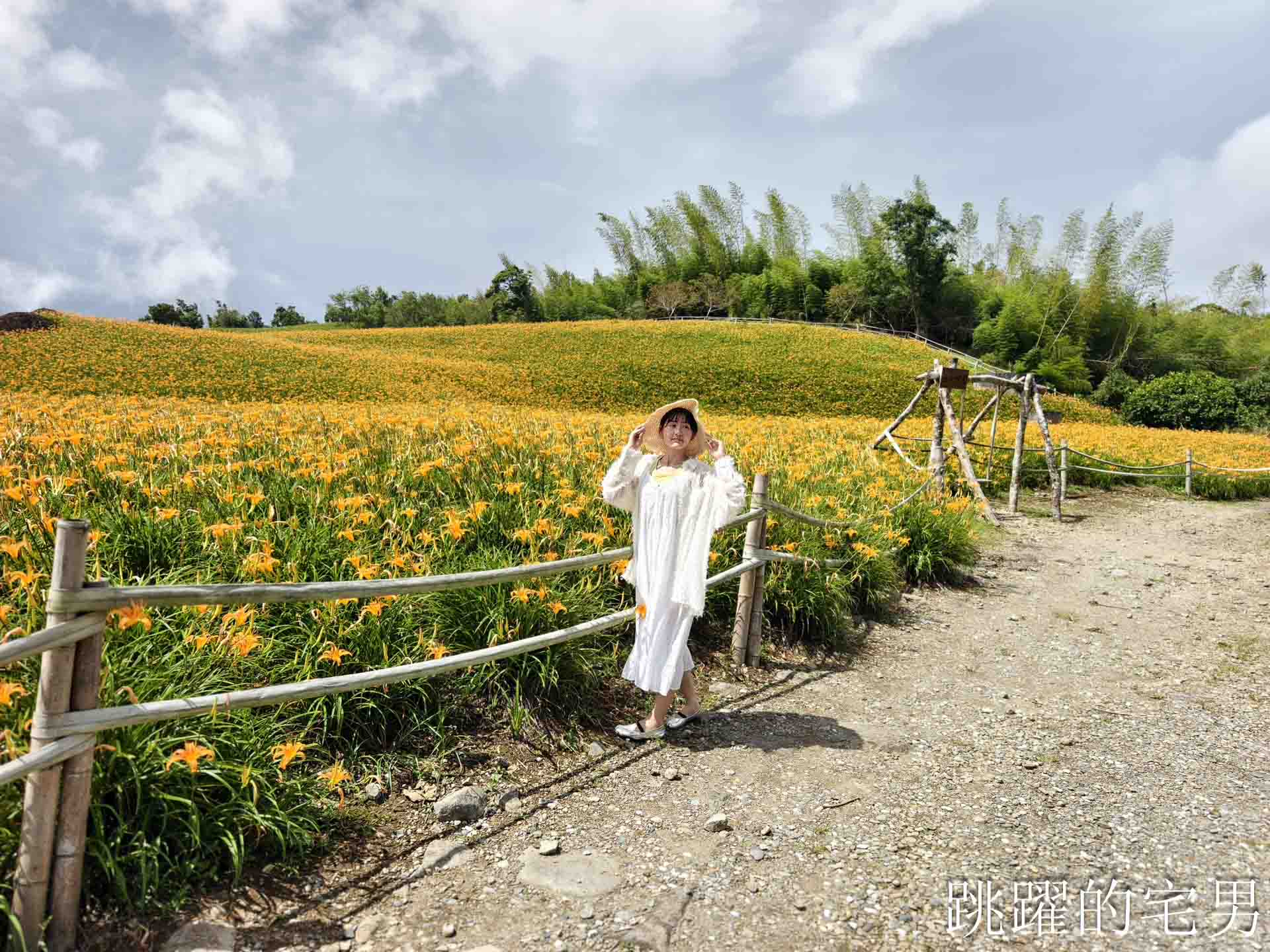 [花蓮賞花景點]汪家古厝-2026赤科山花況，古厝後方藏著整片金針花海！盪鞦韆山丘花田超夢幻，赤科山旅遊景點推薦