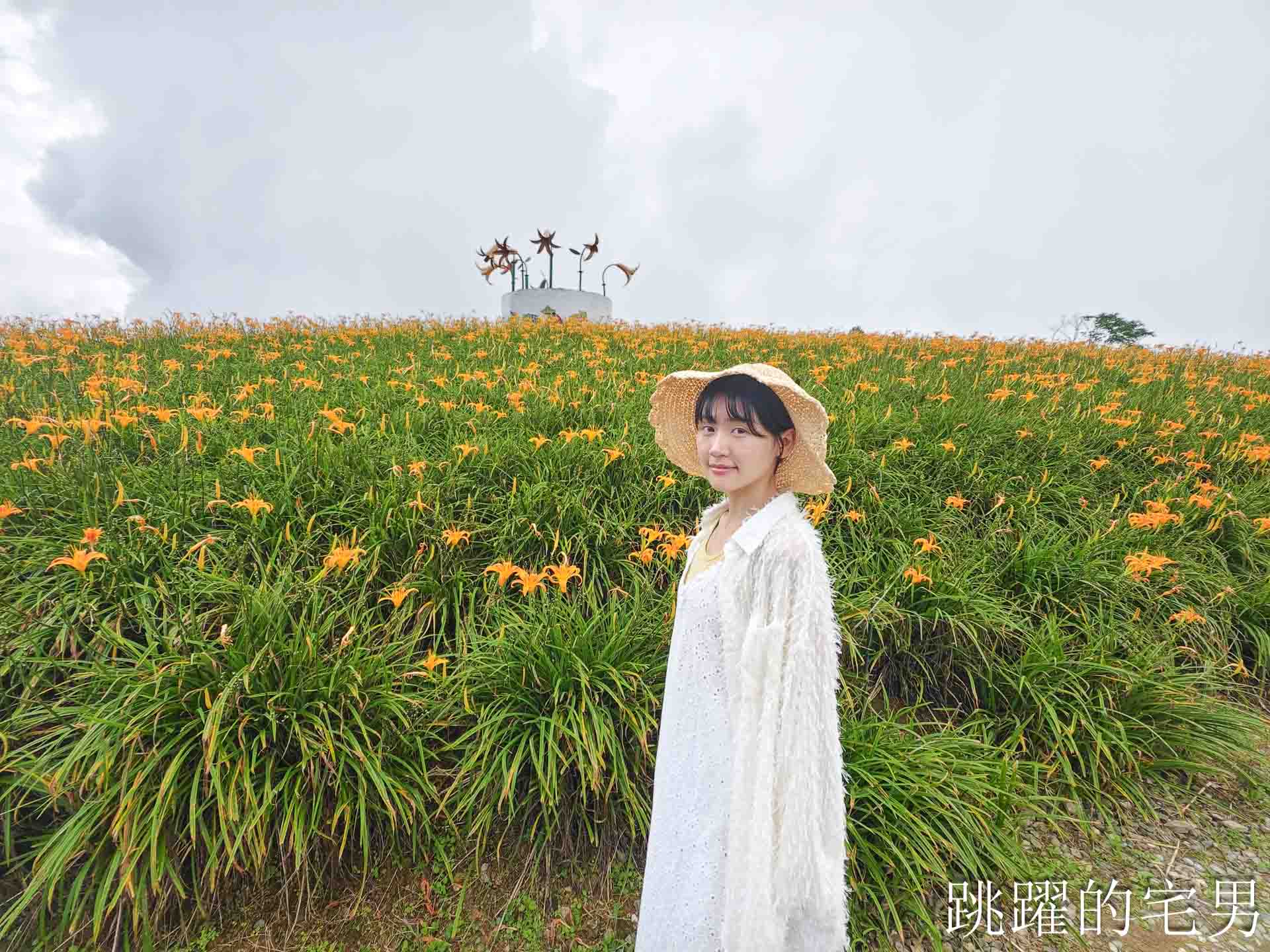 [花蓮景點推薦]2026赤科山金針花懶人包-9月花況、交通路況、賞花景點，林家園、小瑞士、櫻之谷咖啡廳一次玩，玉里景點金針花海