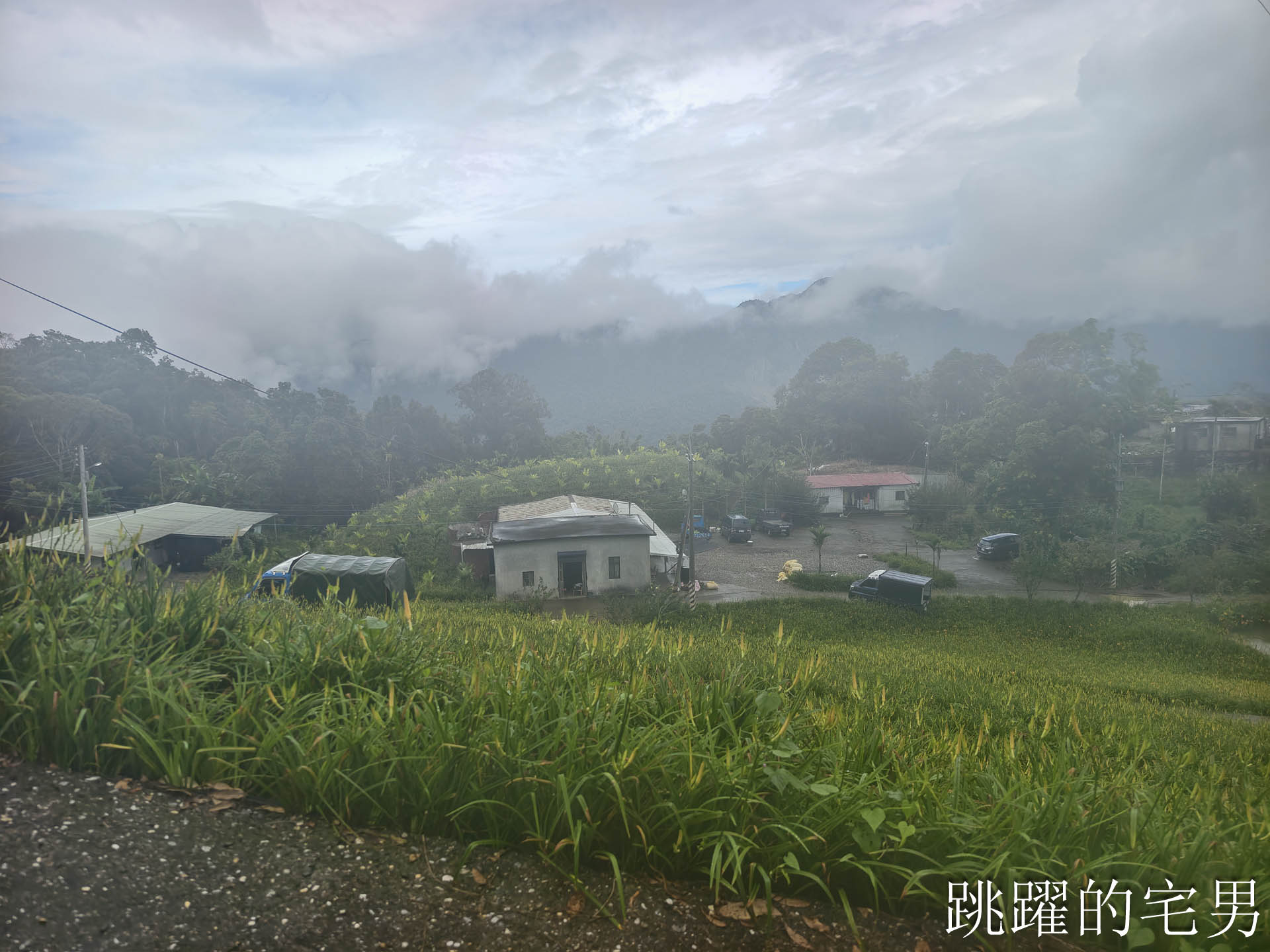 [花蓮景點推薦]赤科山金針花懶人包-花況、交通路況、賞花景點，林家園、小瑞士、櫻之谷咖啡廳一次玩，玉里景點金針花海