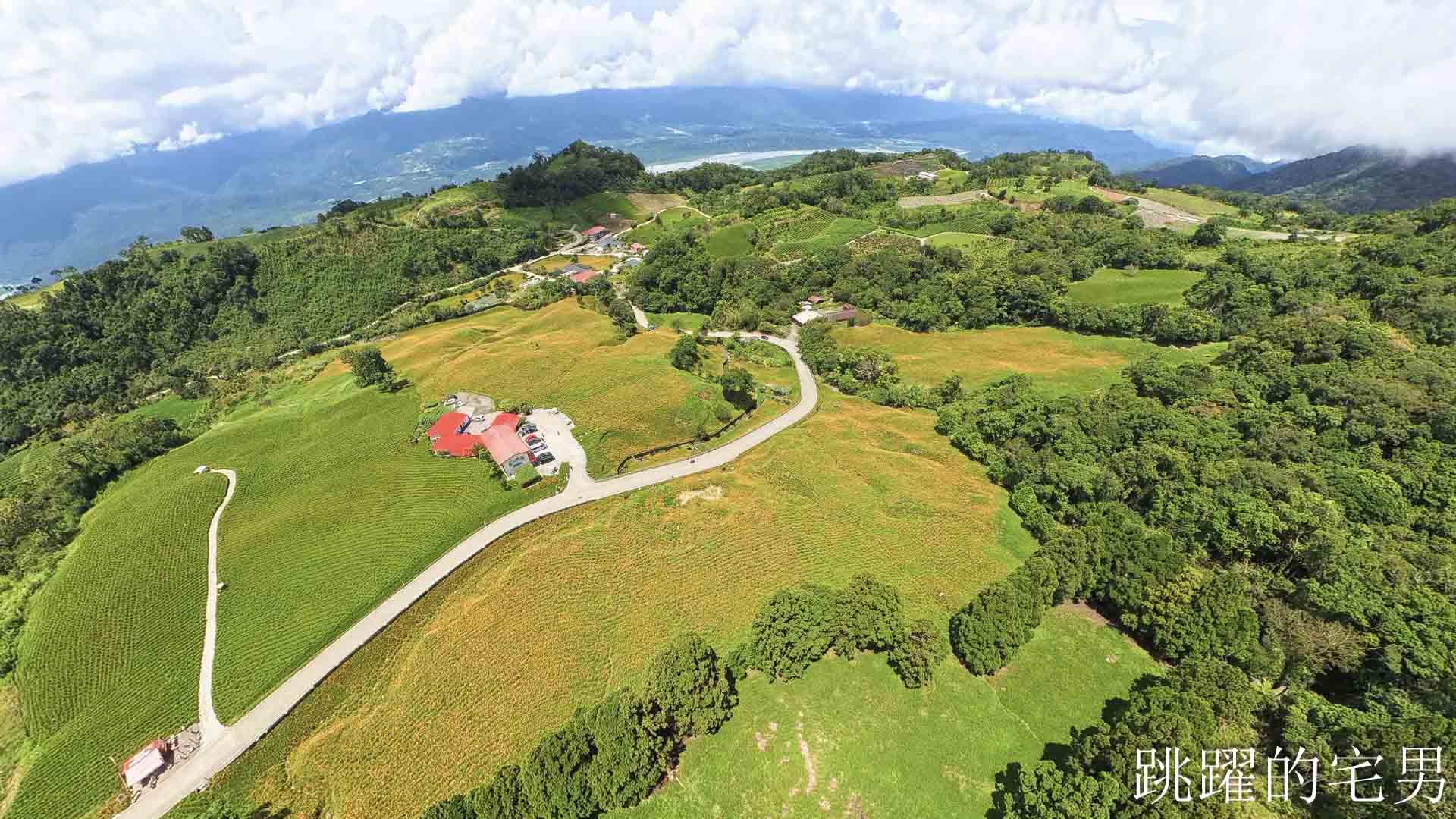 [花蓮景點推薦]2026赤科山金針花懶人包-9月花況、交通路況、賞花景點，林家園、小瑞士、櫻之谷咖啡廳一次玩，玉里景點金針花海
