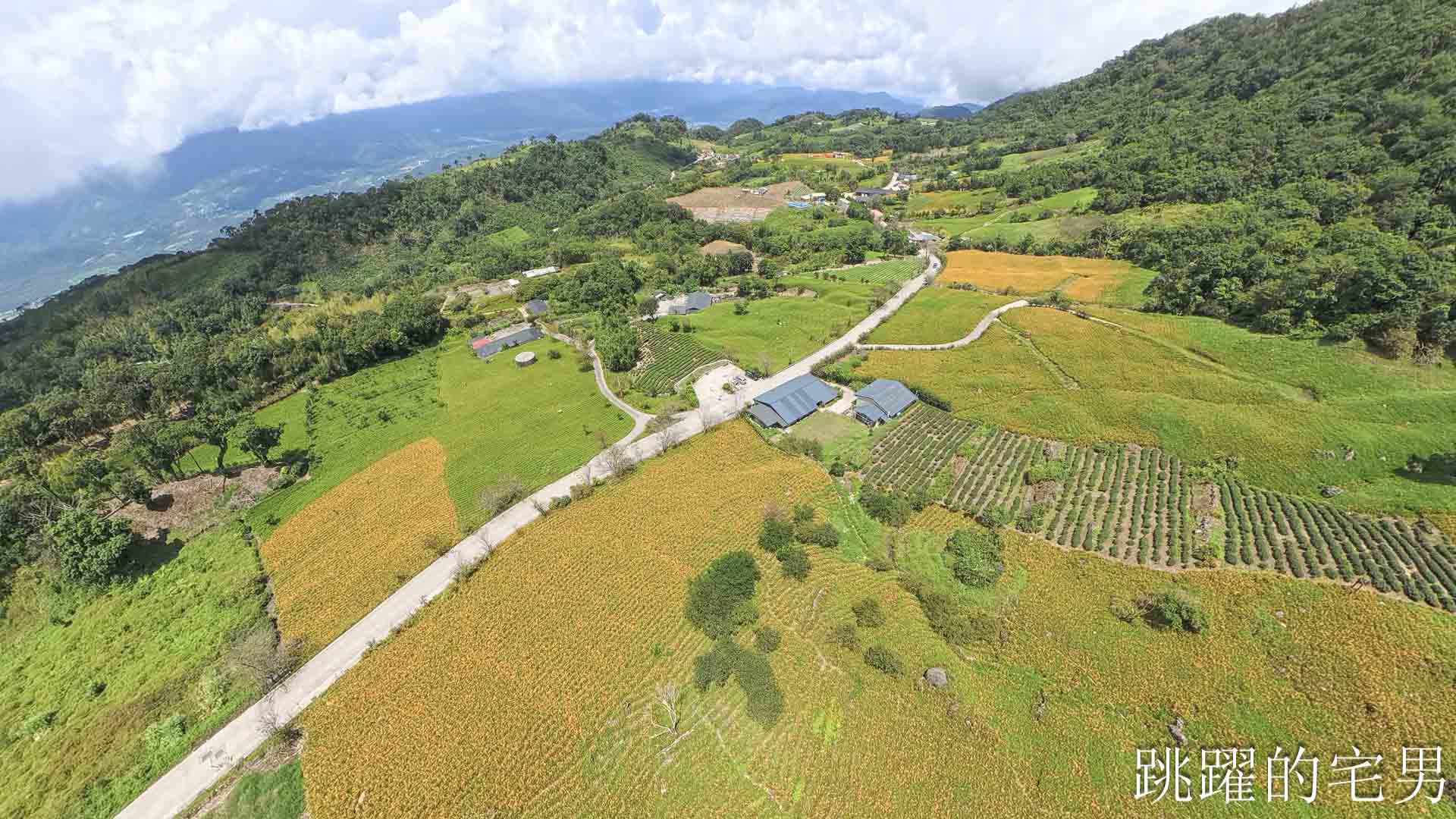 [花蓮景點推薦]2026赤科山金針花懶人包-9月花況、交通路況、賞花景點，林家園、小瑞士、櫻之谷咖啡廳一次玩，玉里景點金針花海