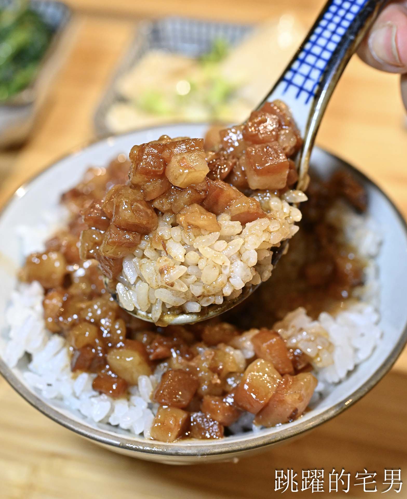 [花蓮美食]平行時空小茶室-老屋茶鋪還是花蓮寵物友善餐廳，滷肉飯套餐99元，附2樣小菜和湯C/P值很高