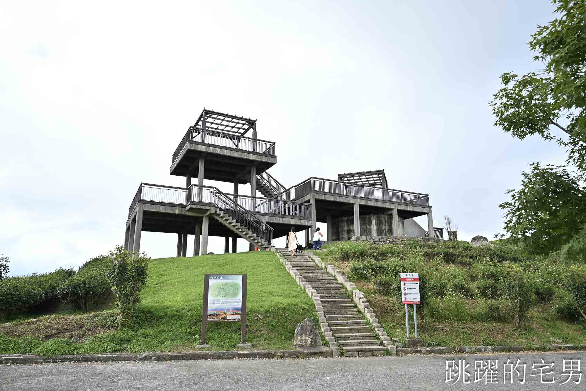 [花蓮金針花季]六十石山金針花季2026年9月花季實際花況，萬合小吃、烏魚山莊大片花海＋網紅水池