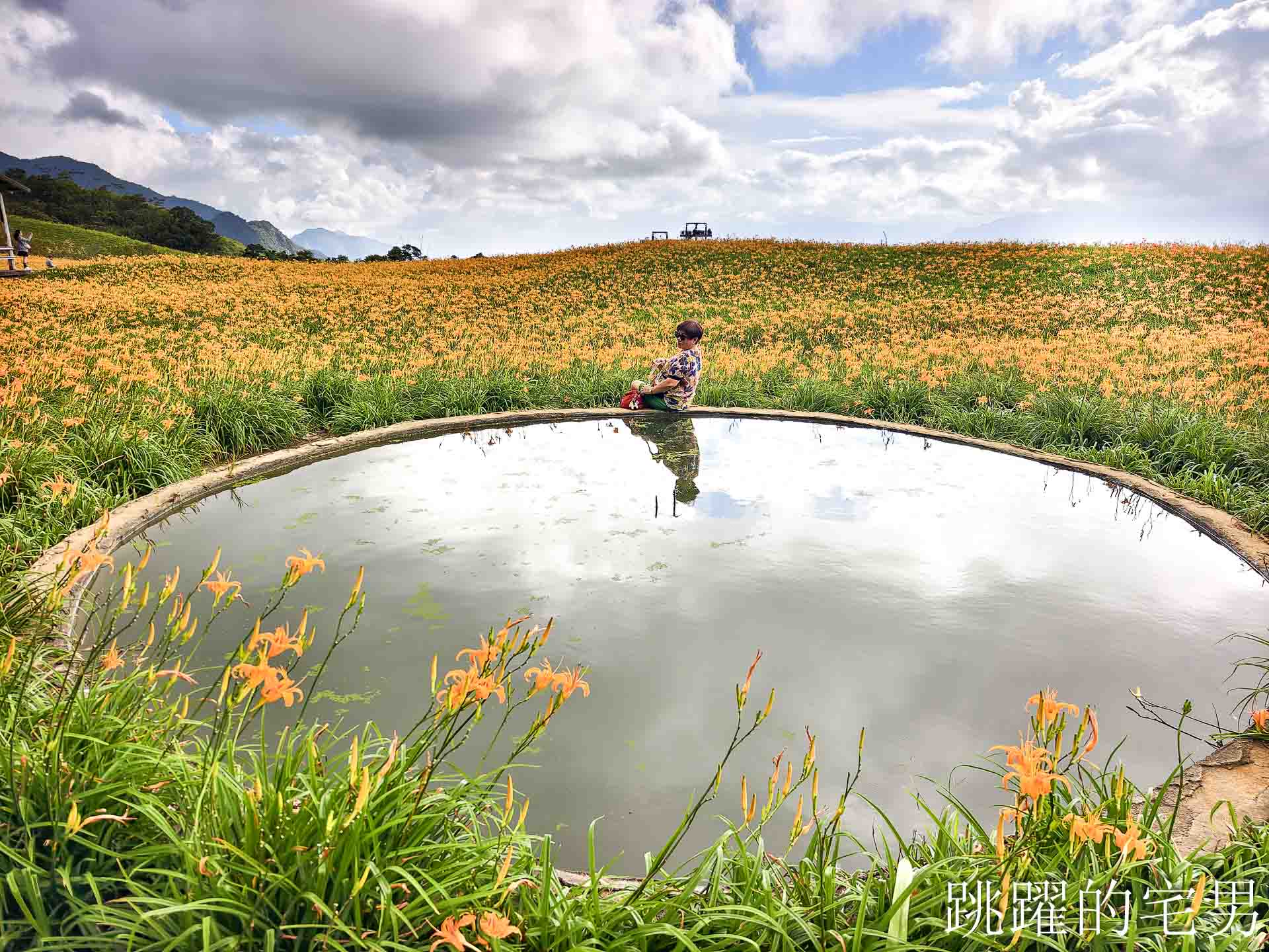 [花蓮金針花季]六十石山金針花季2026年9月花季實際花況，萬合小吃、烏魚山莊大片花海＋網紅水池