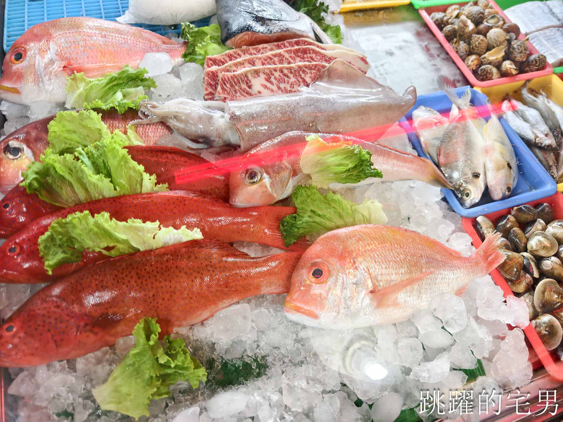 [大安區熱炒]日海海鮮店-這家台北熱炒好吃到續點27道菜?!  牛小排超級美味，捷運科技大樓站美食推薦，台北海產店推薦