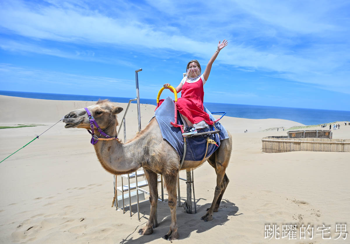 [日本觀光列車]天地號 あめつち絕美海岸線，鳥取觀光列車短程也能搭！預約教學、票價、限定商品、座位完整介紹